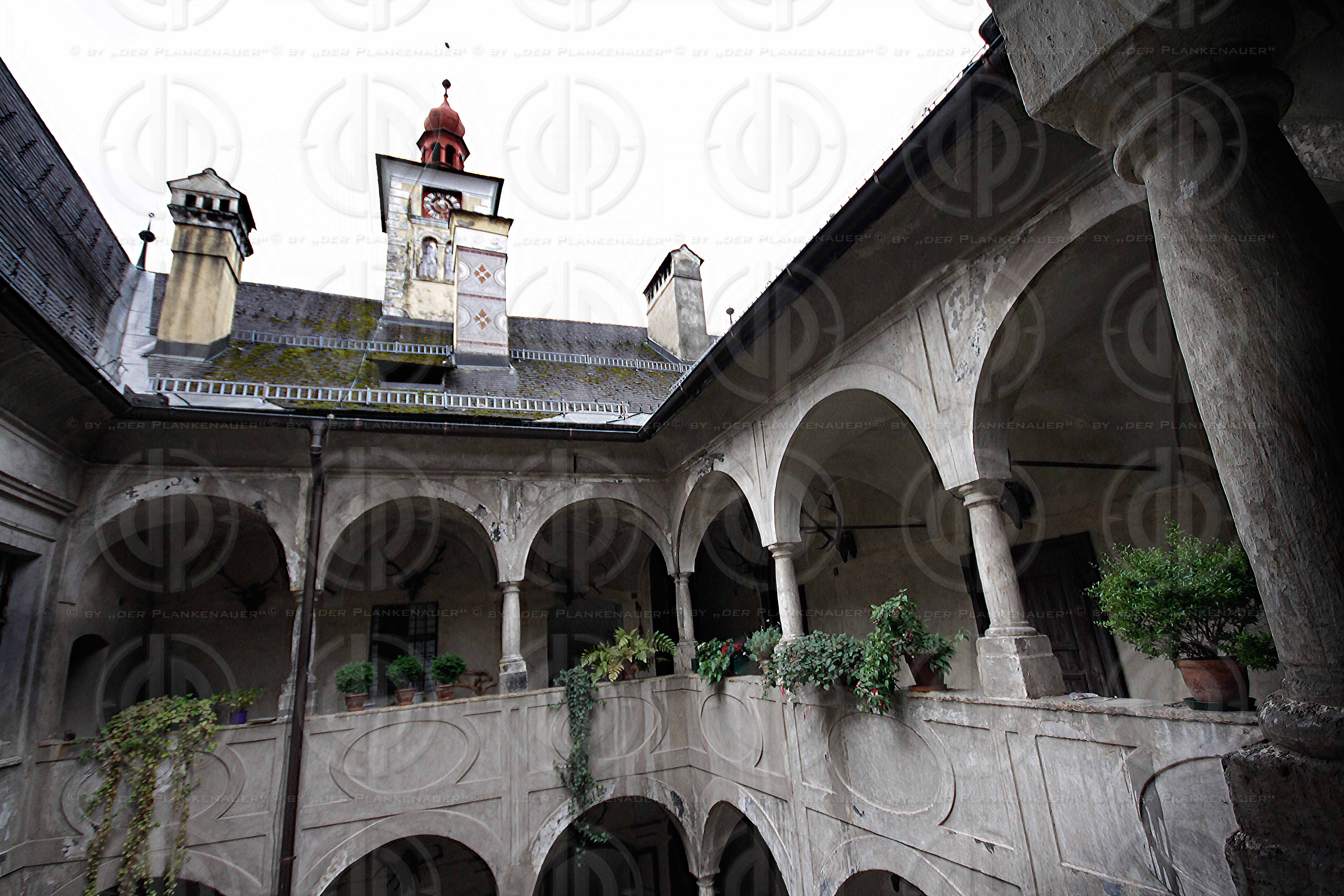 Grand Prix von Oesterreich 2014 Vorberichte