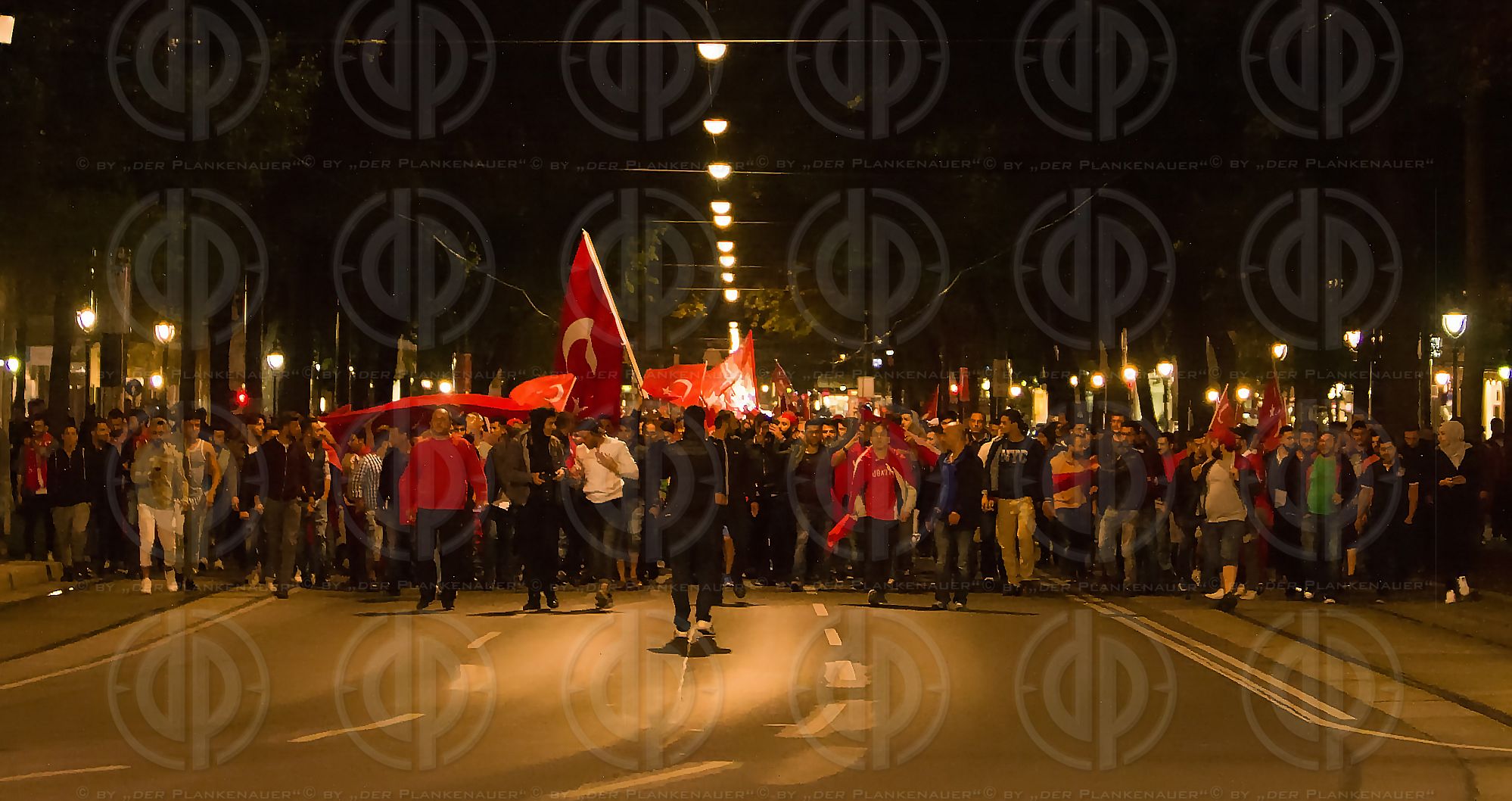 Militaerputsch Tuerkei - Demo in Wien