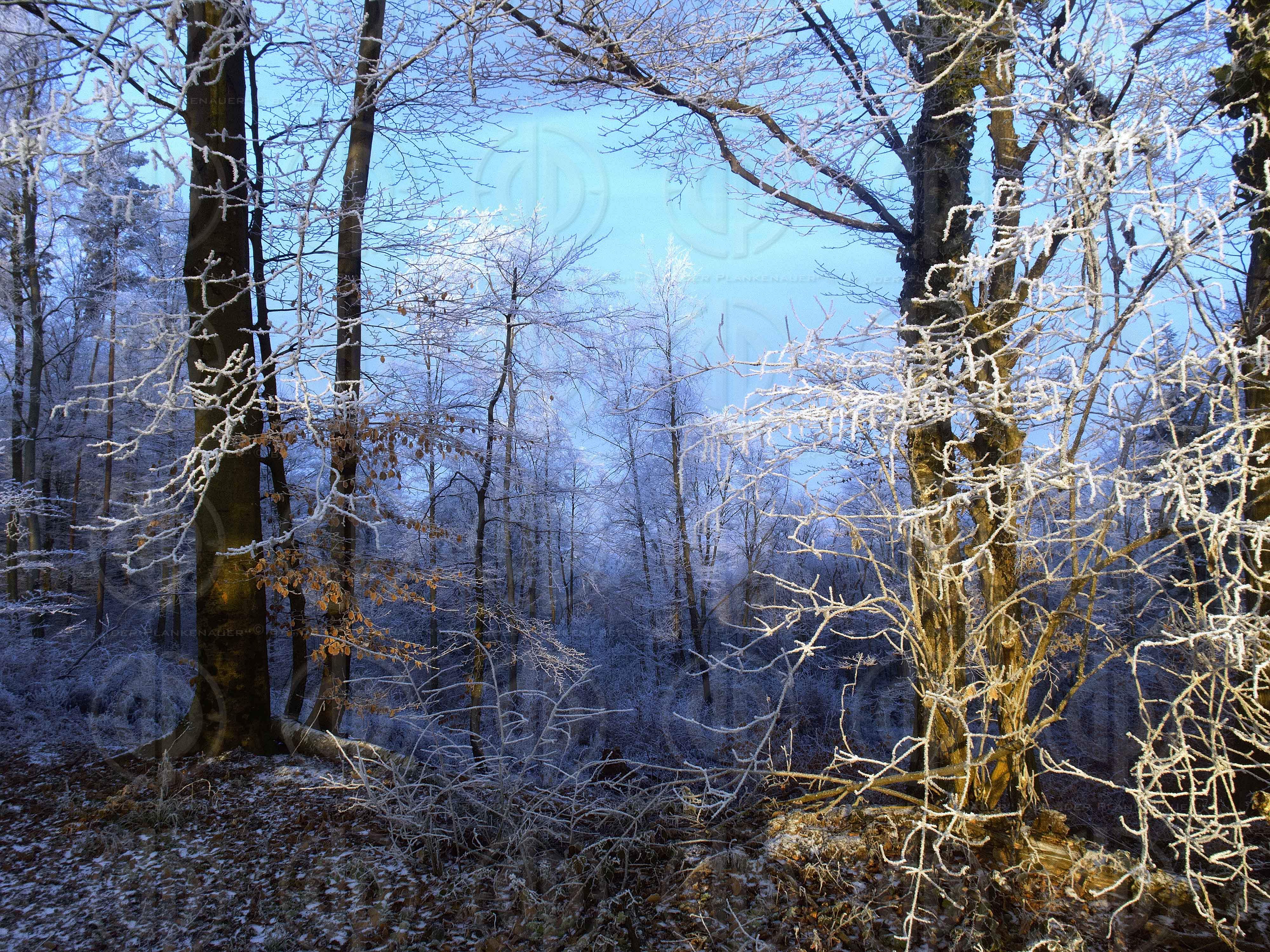 Steirische Landschaften