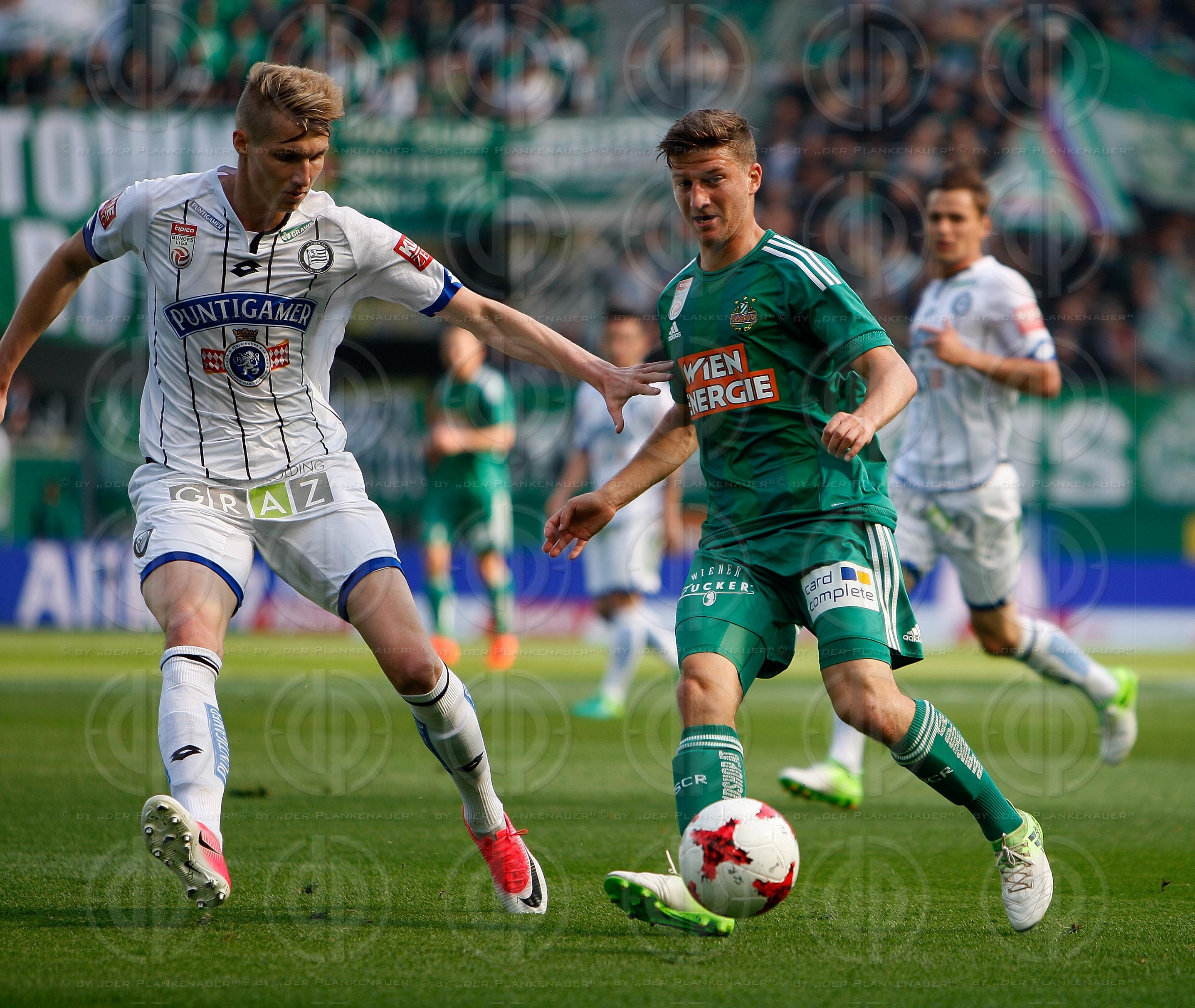SK Rapid vs. SK Sturm (1:0)