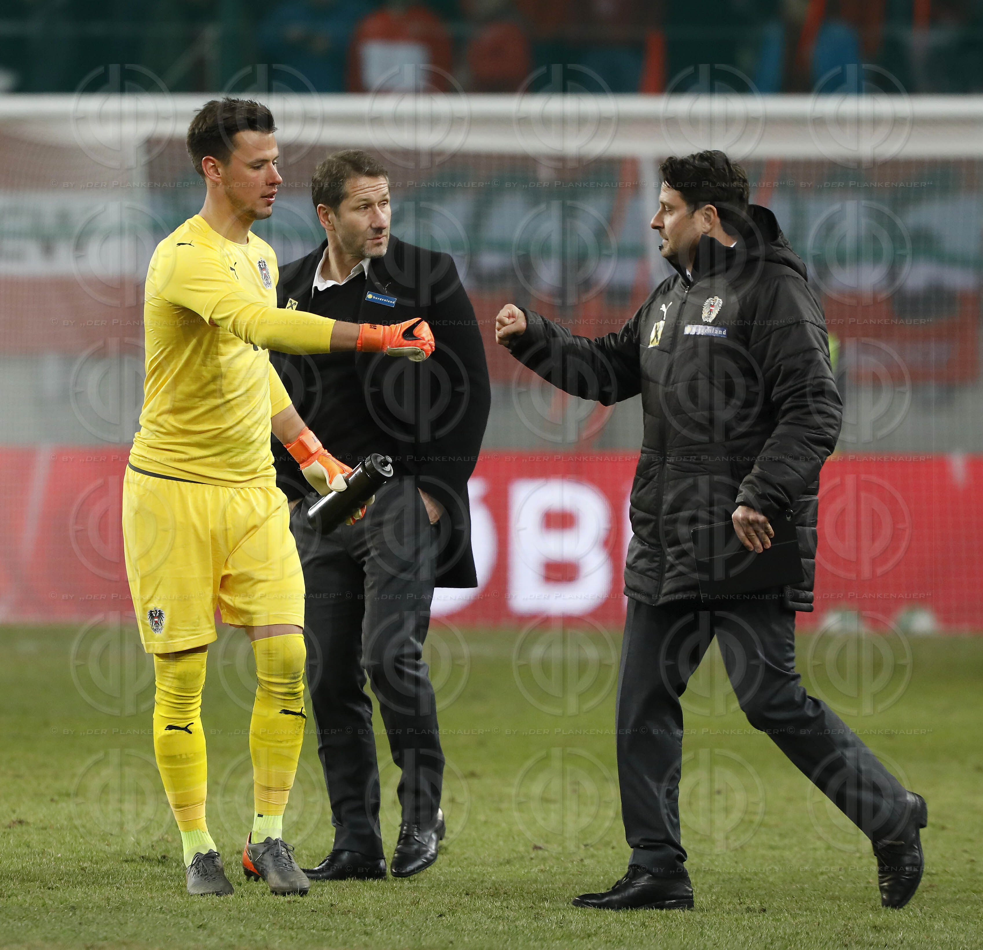 Laenderspiel Oesterreich vs. Slowenien (3:0)