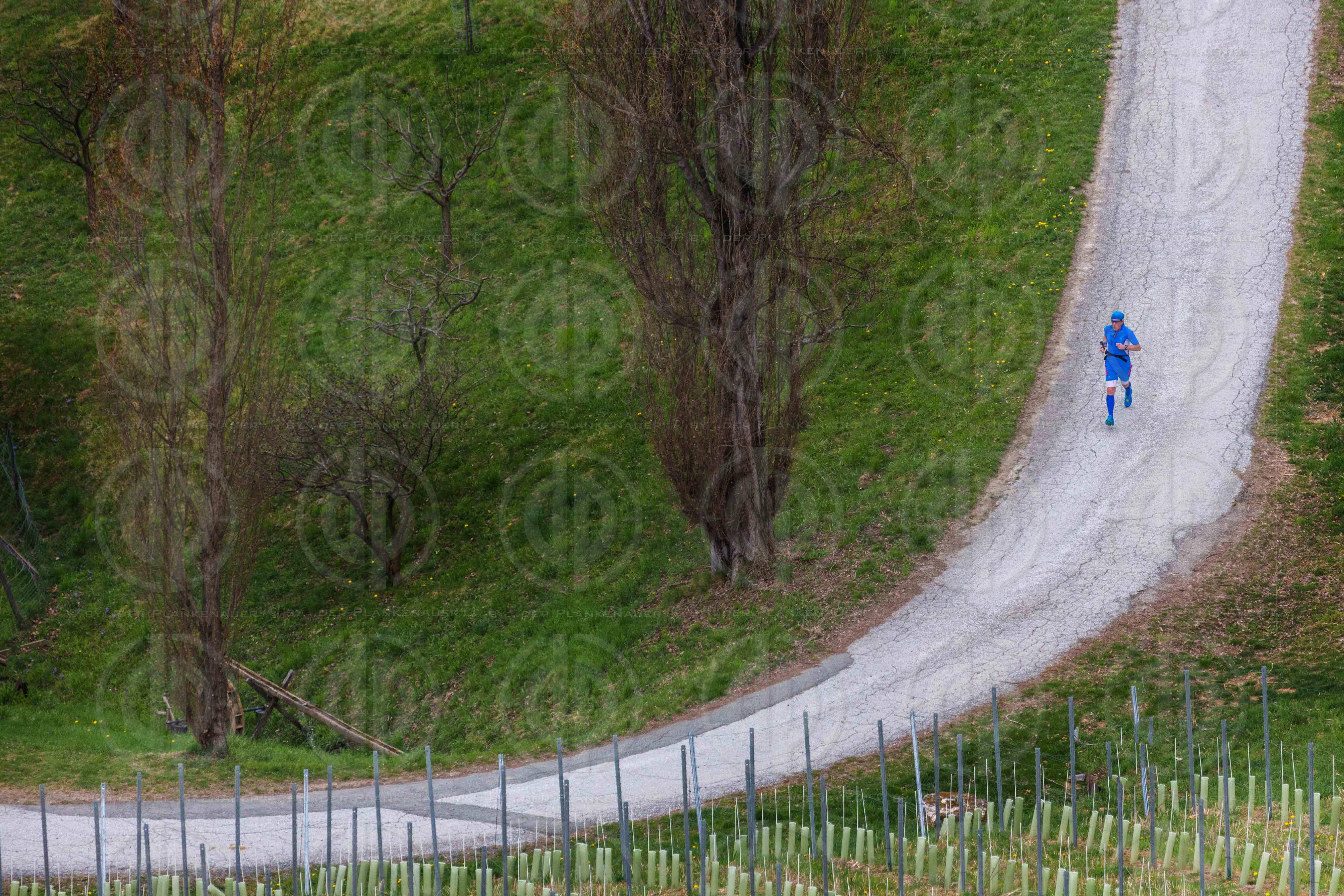 Welschlauf 2016 - neuer Streckenabschnitt
