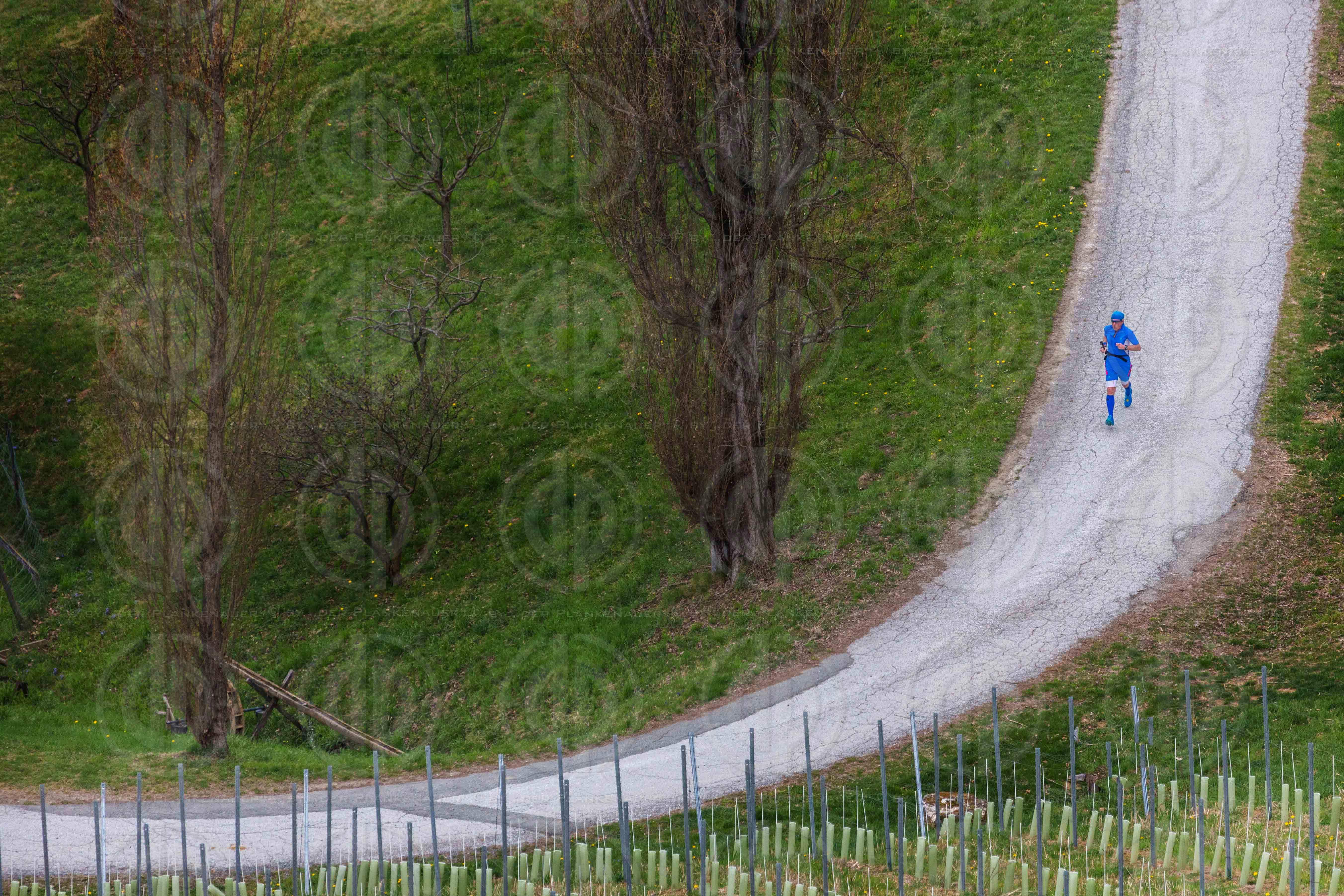 Welschlauf 2016 - neuer Streckenabschnitt