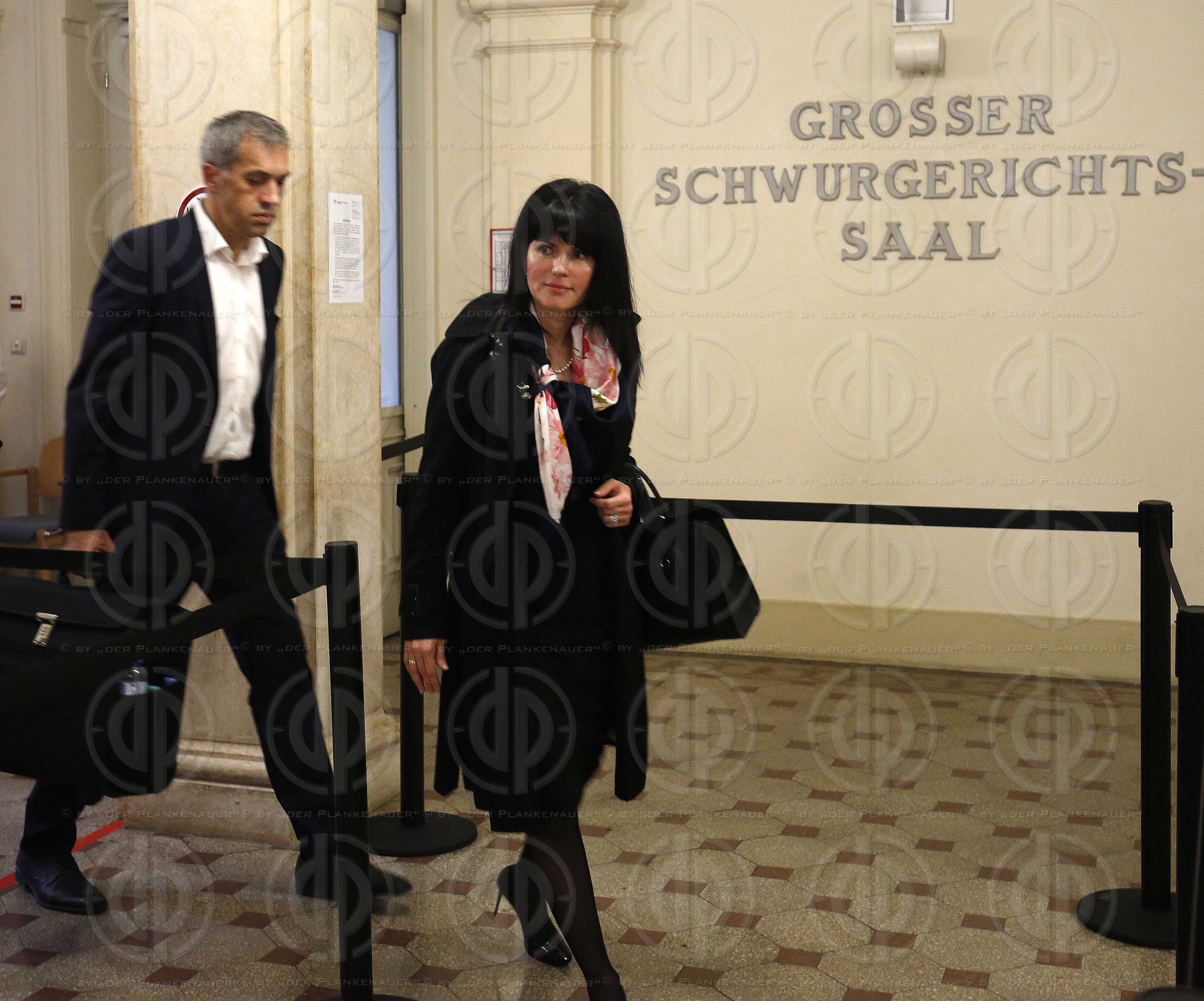 Schwurgerichtsprozess Amokfahrer Alen R.