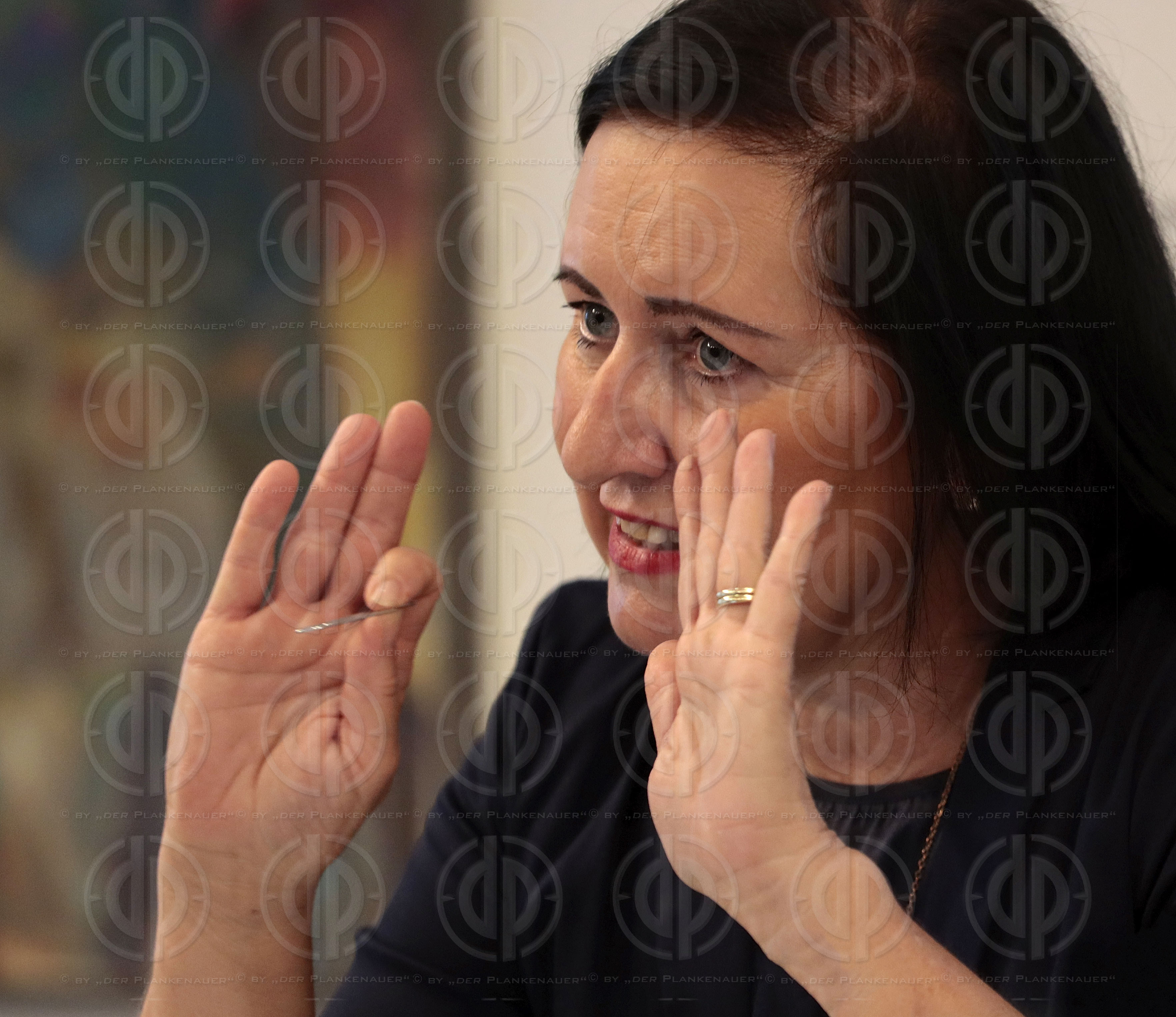 Bildungsdirektorin Meixner im Steirischen Presseclub