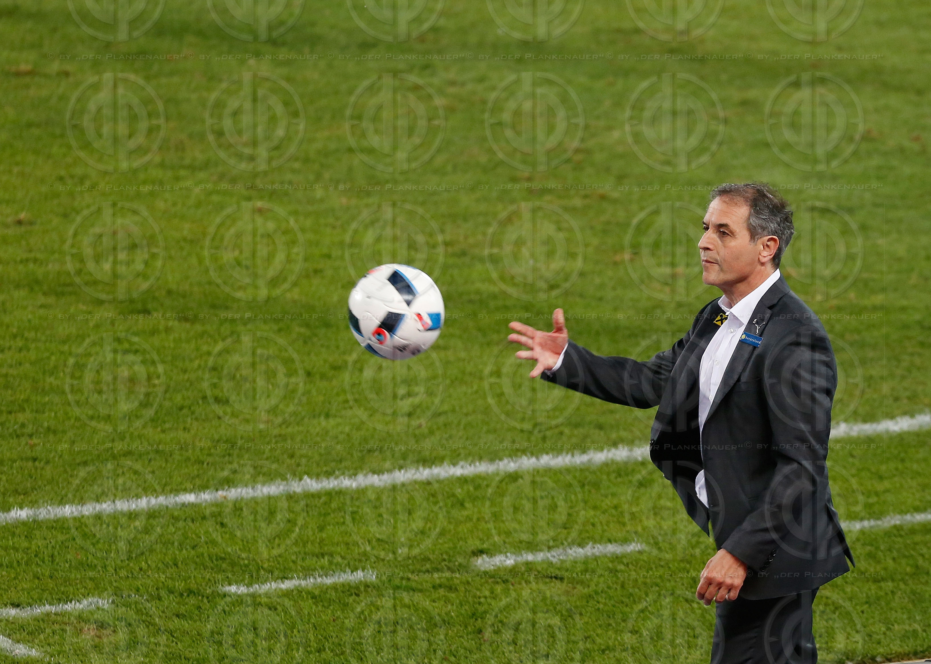 Oesterreich vs. Niederlande (0:2)