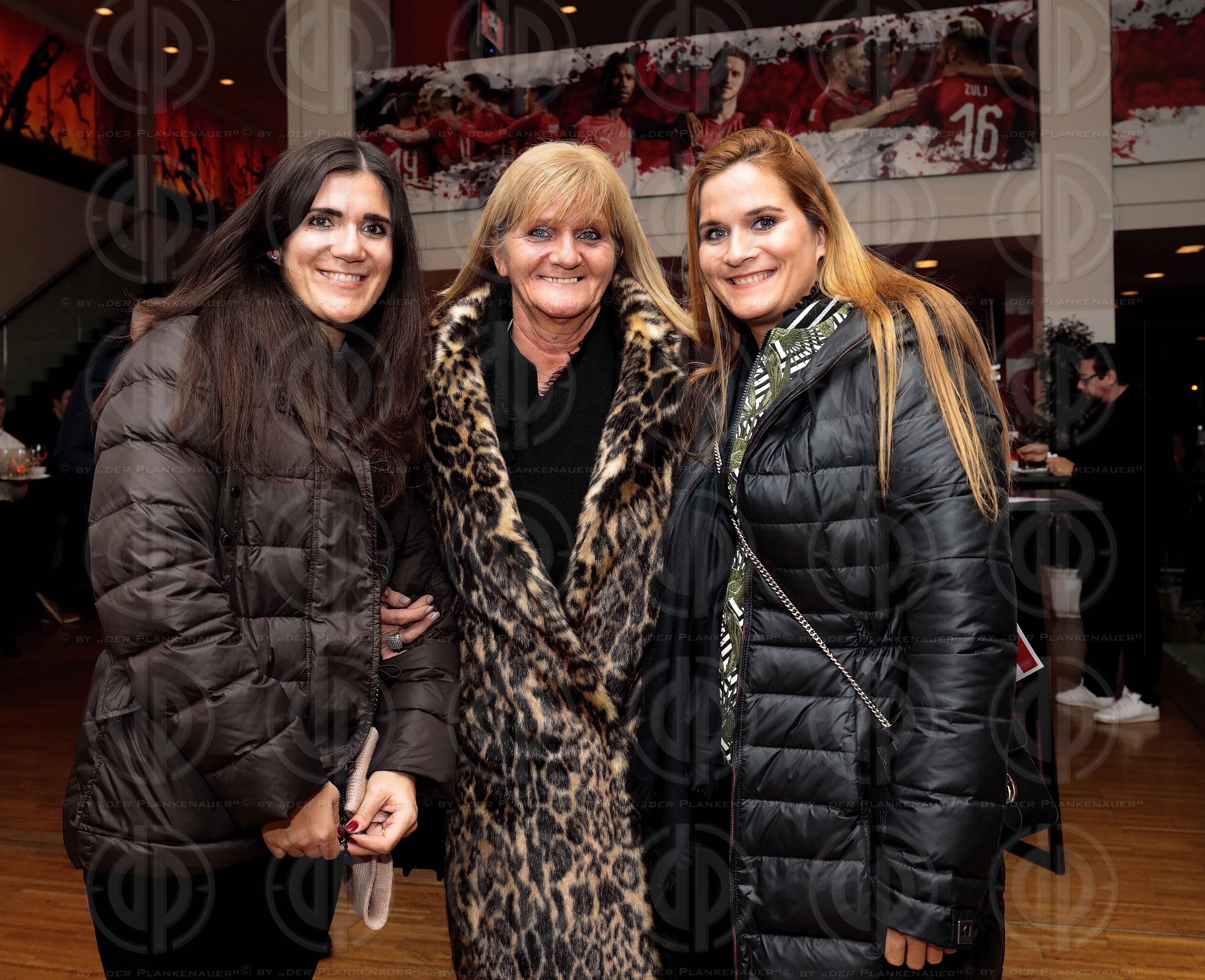 Länderspiel EM-Q. Österreich vs. Nordmazedonien (2:1)