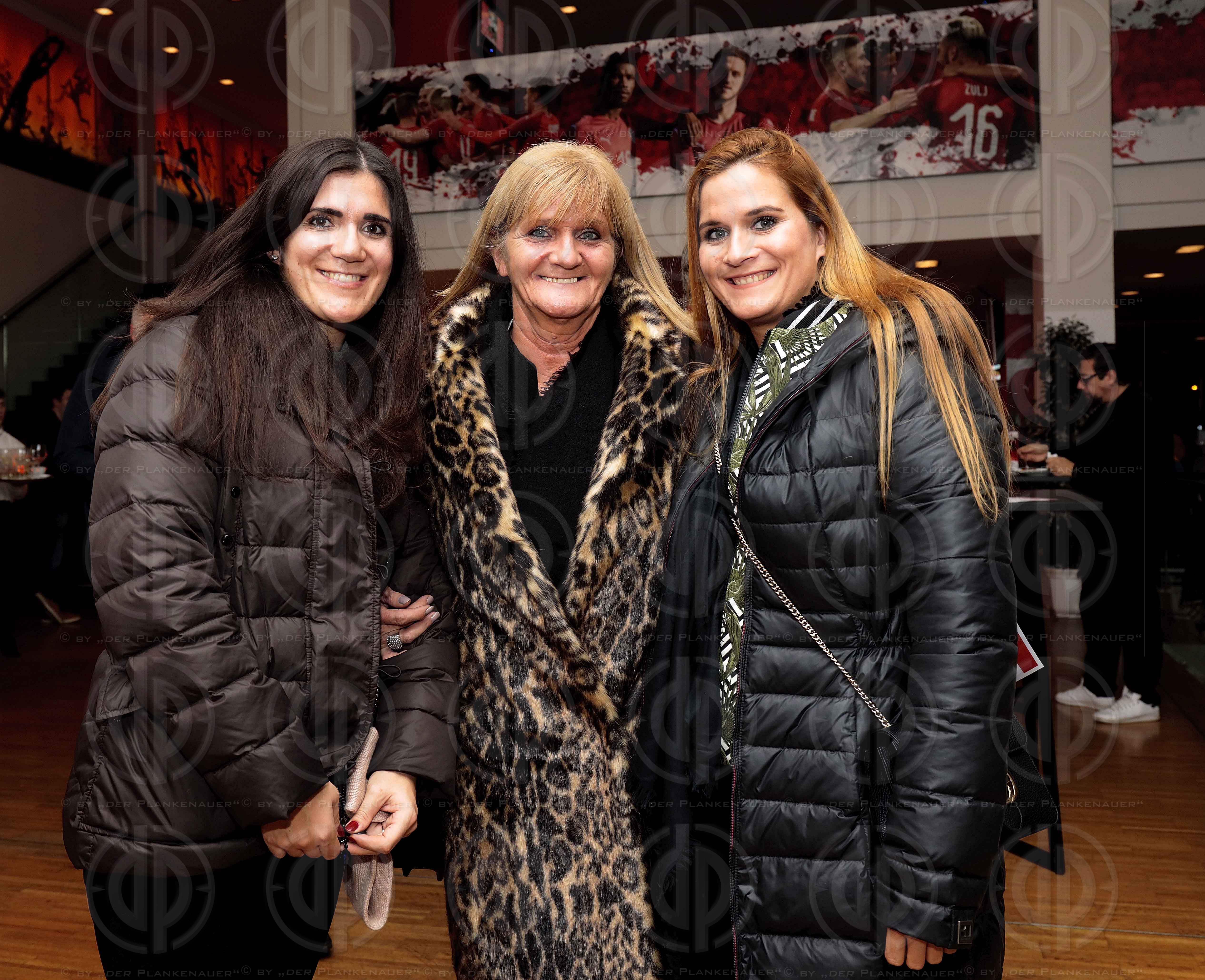 Länderspiel EM-Q. Österreich vs. Nordmazedonien (2:1)