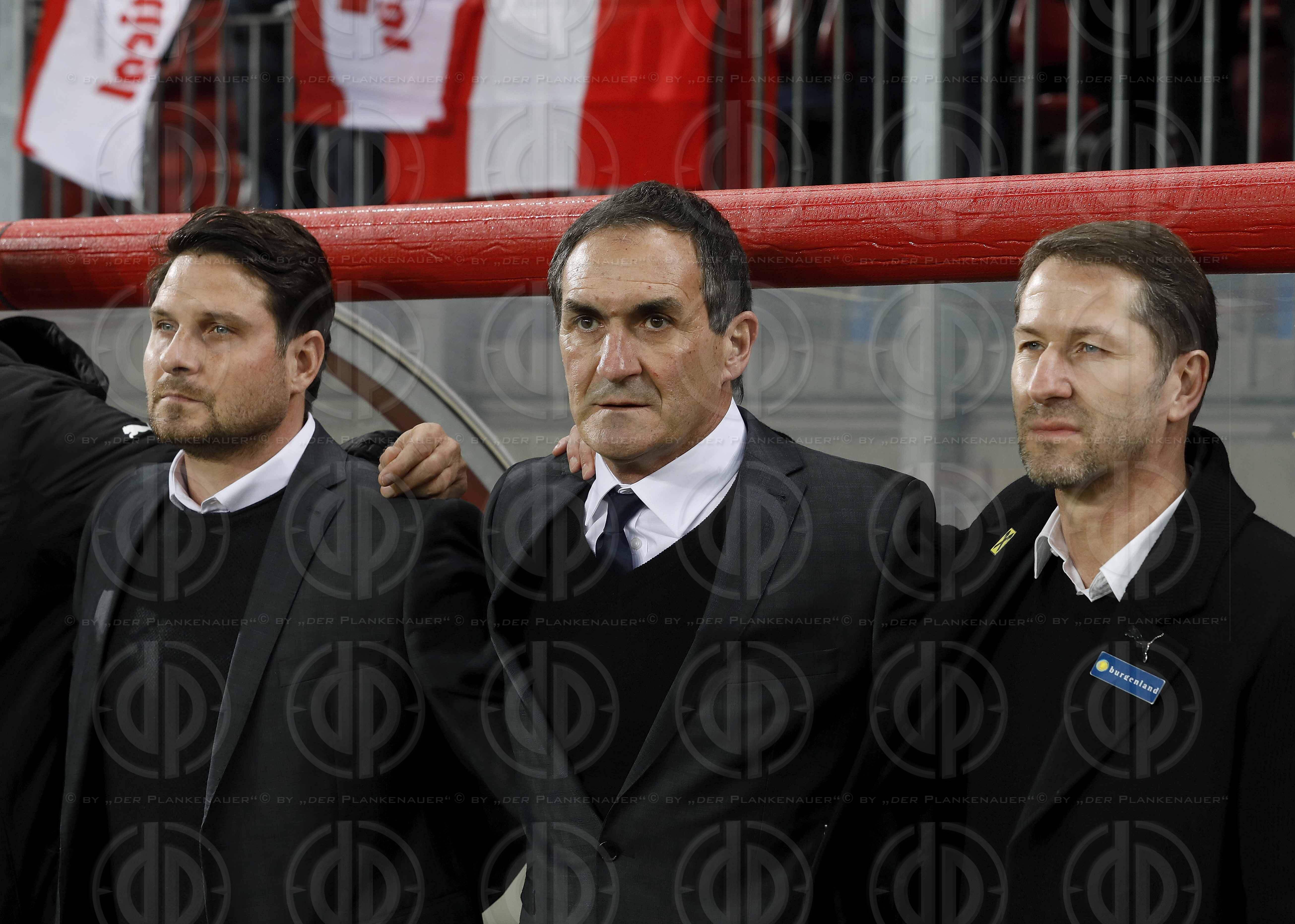 Laenderspiel Oesterreich vs. Slowenien (3:0)