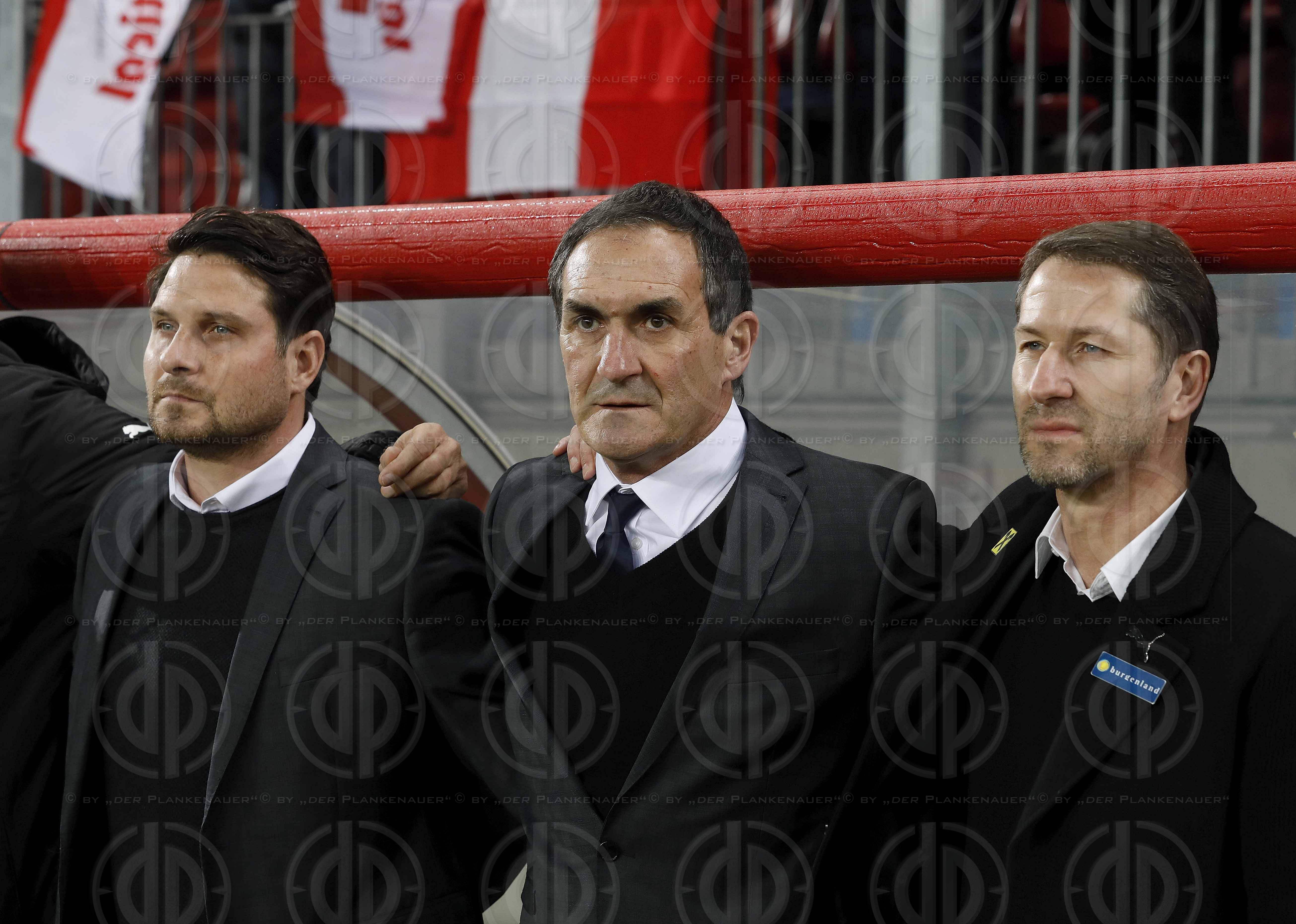 Laenderspiel Oesterreich vs. Slowenien (3:0)