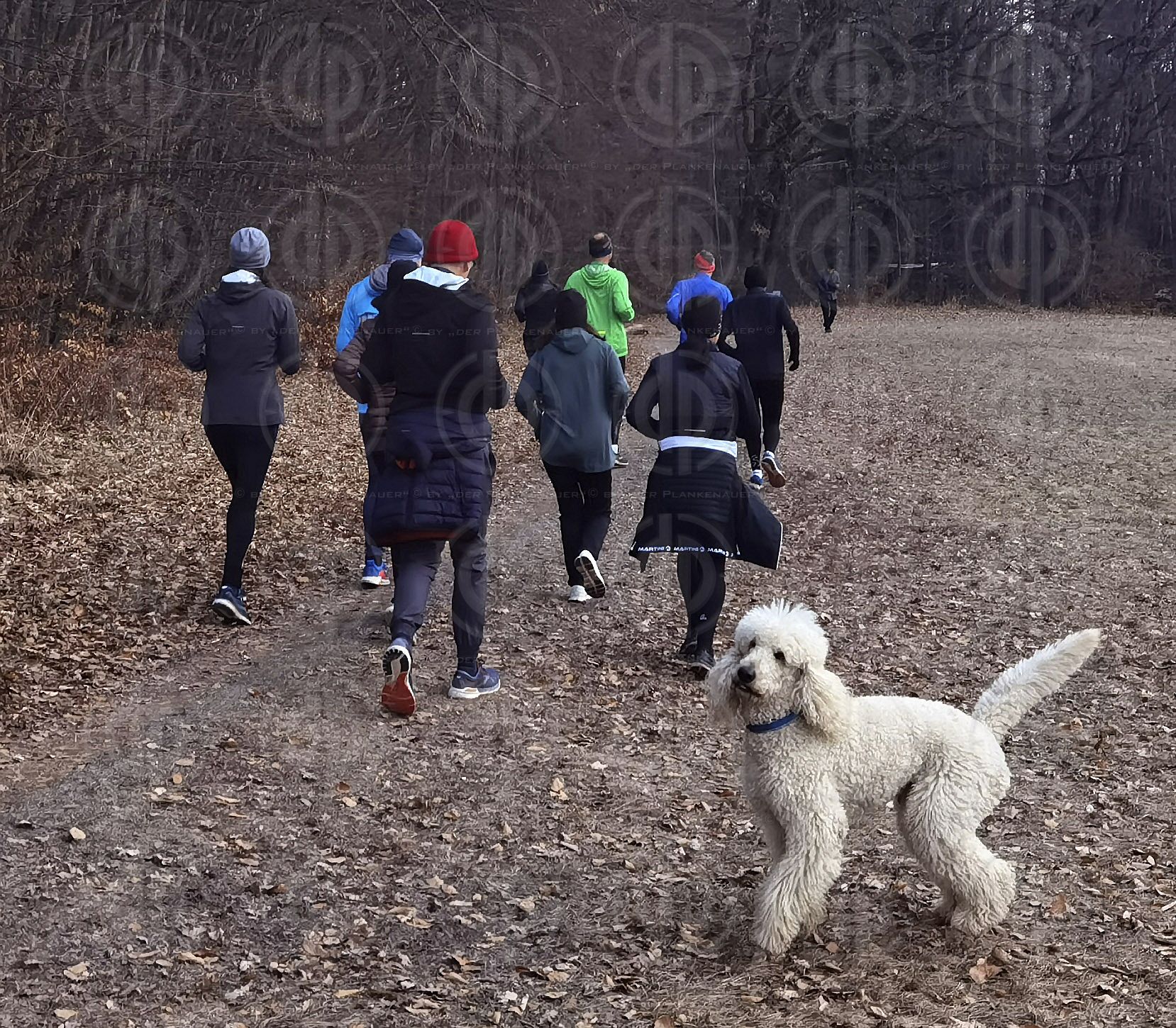 Christian 60 am 23.12.2021