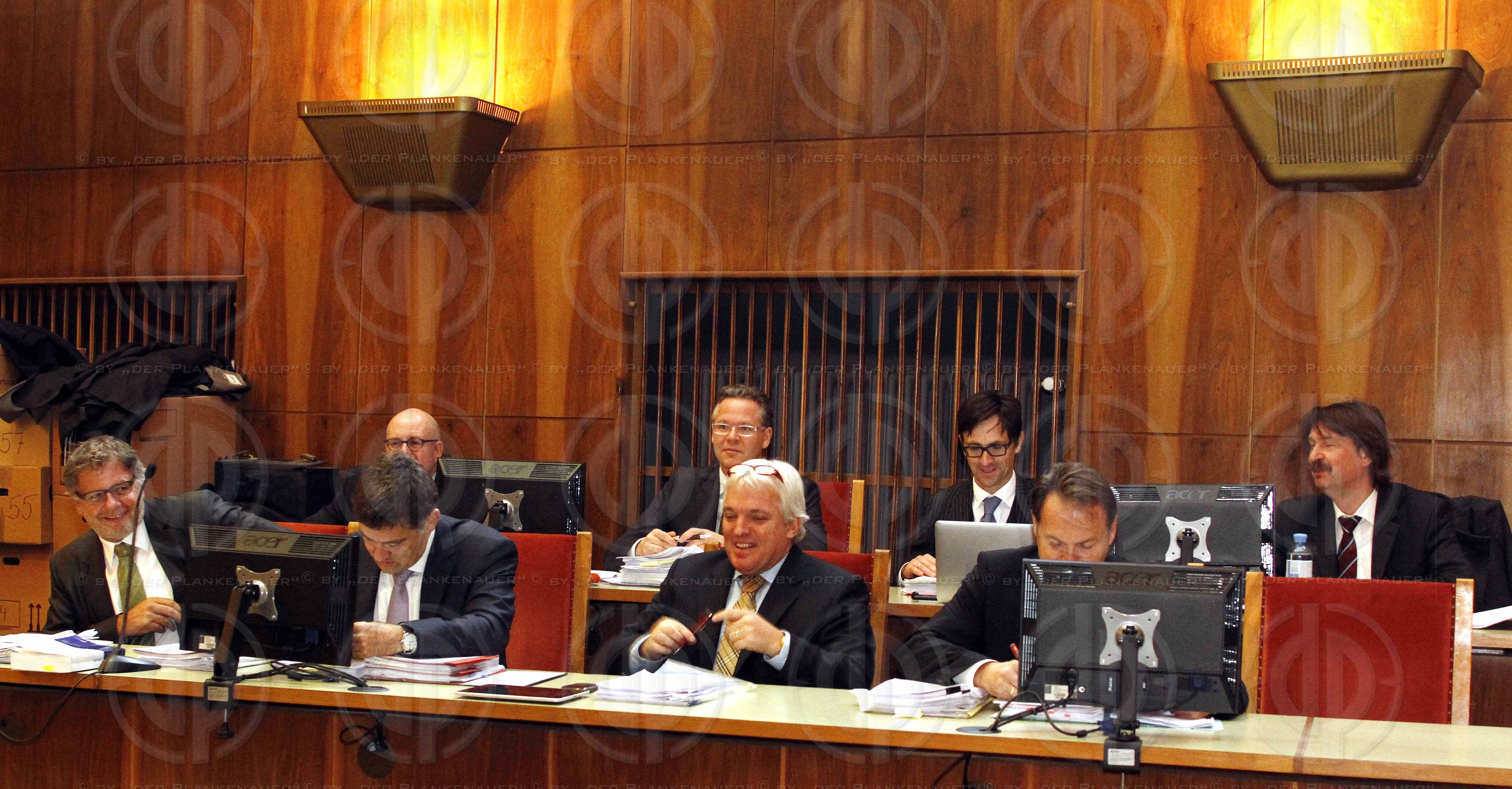 Strafverfahren gegen Hannes KARTNIG u.a.