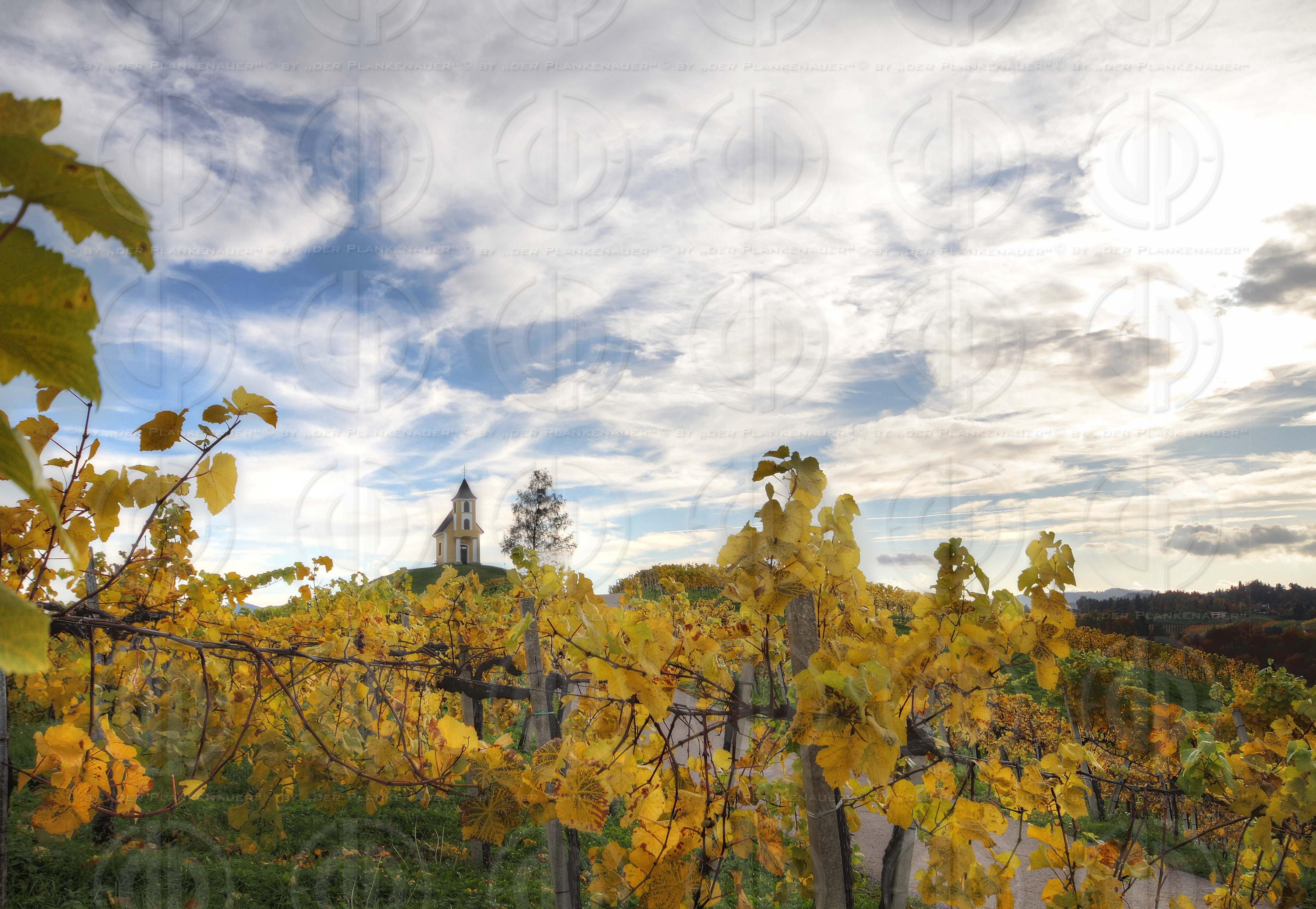 Steirische Landschaften