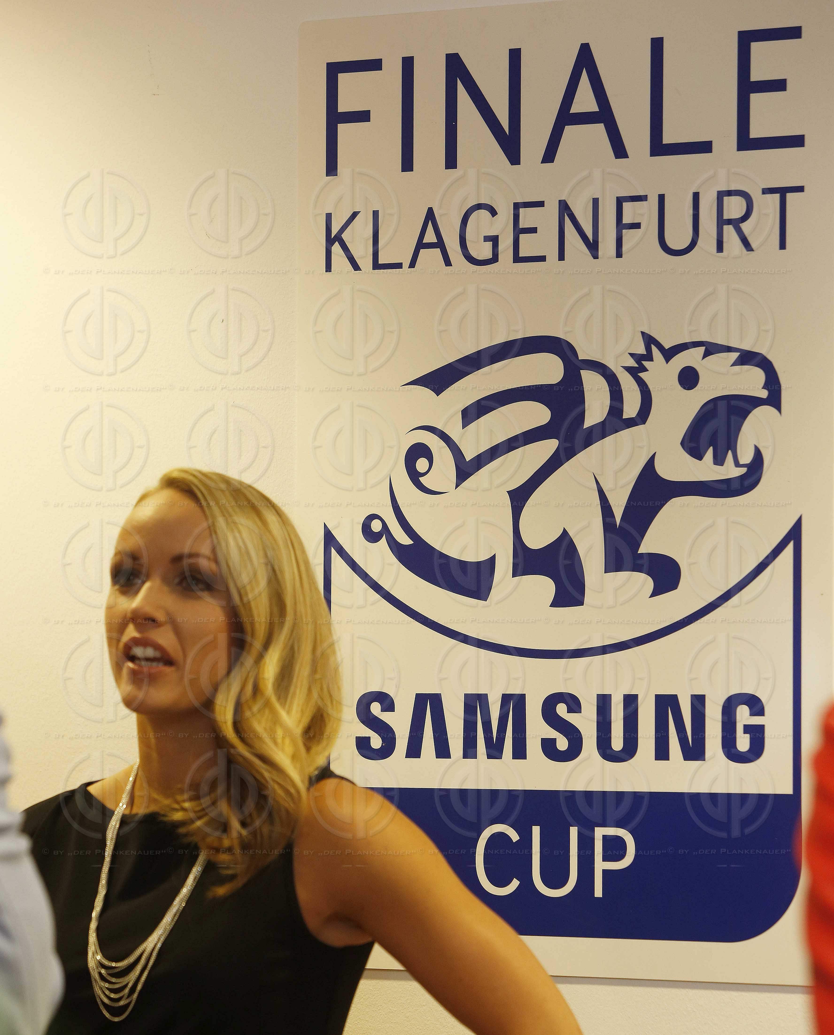 Cup Finale2016 Admira Wacker vs. Red Bull Salzburg