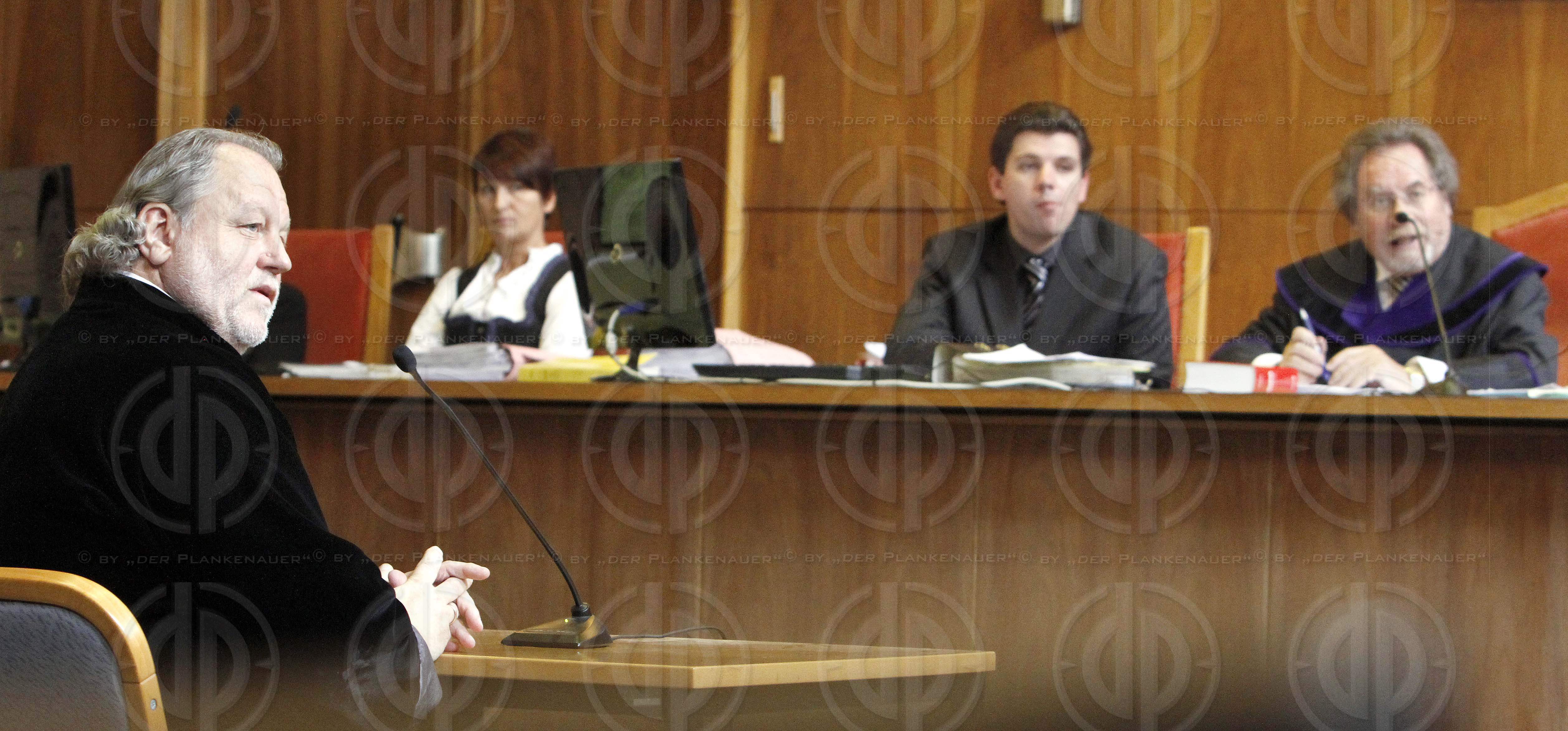 Strafverfahren gegen Hannes KARTNIG u.a.