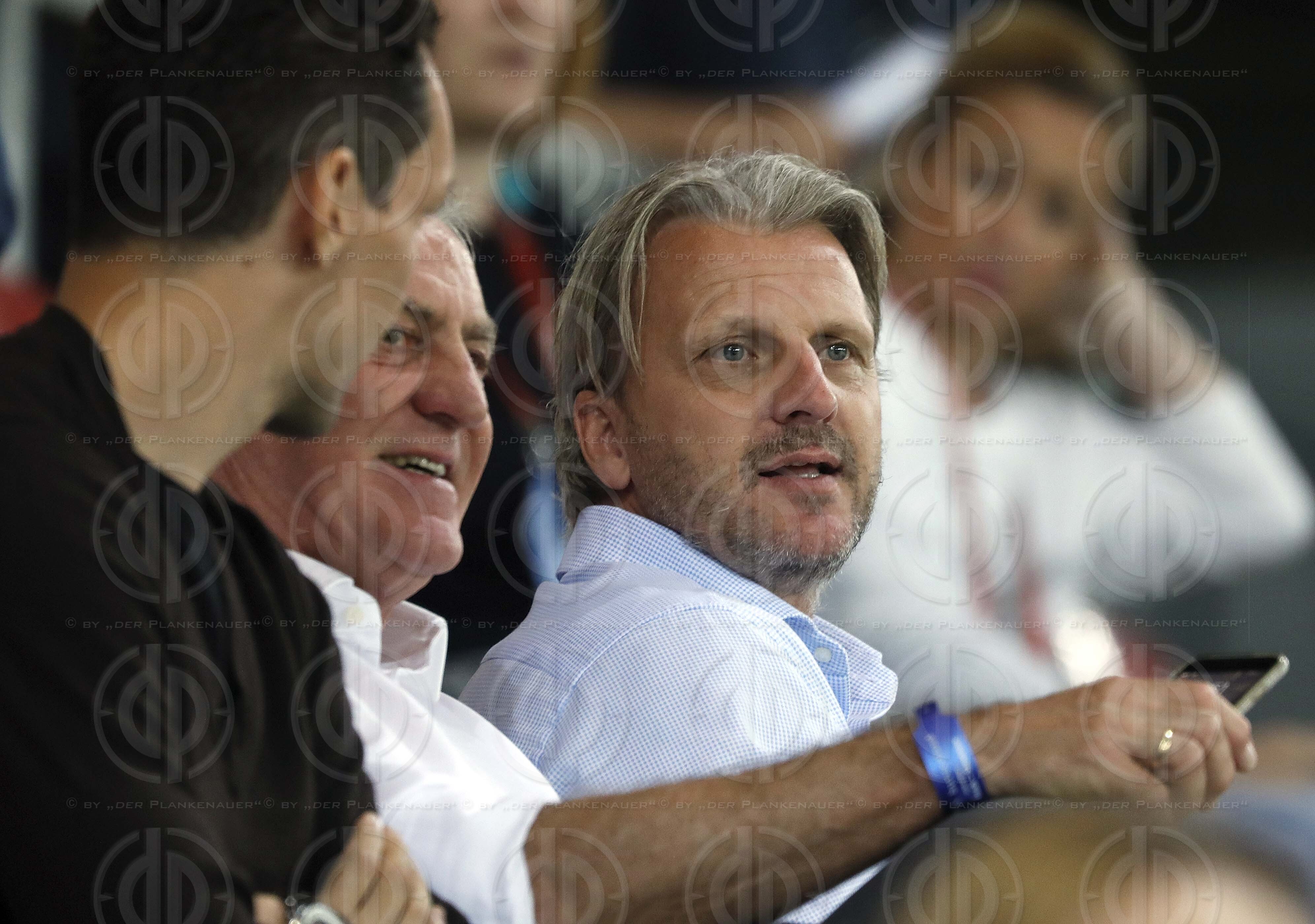 Länderspiel EM-Q. Österreich vs. Slowenien (1:0)