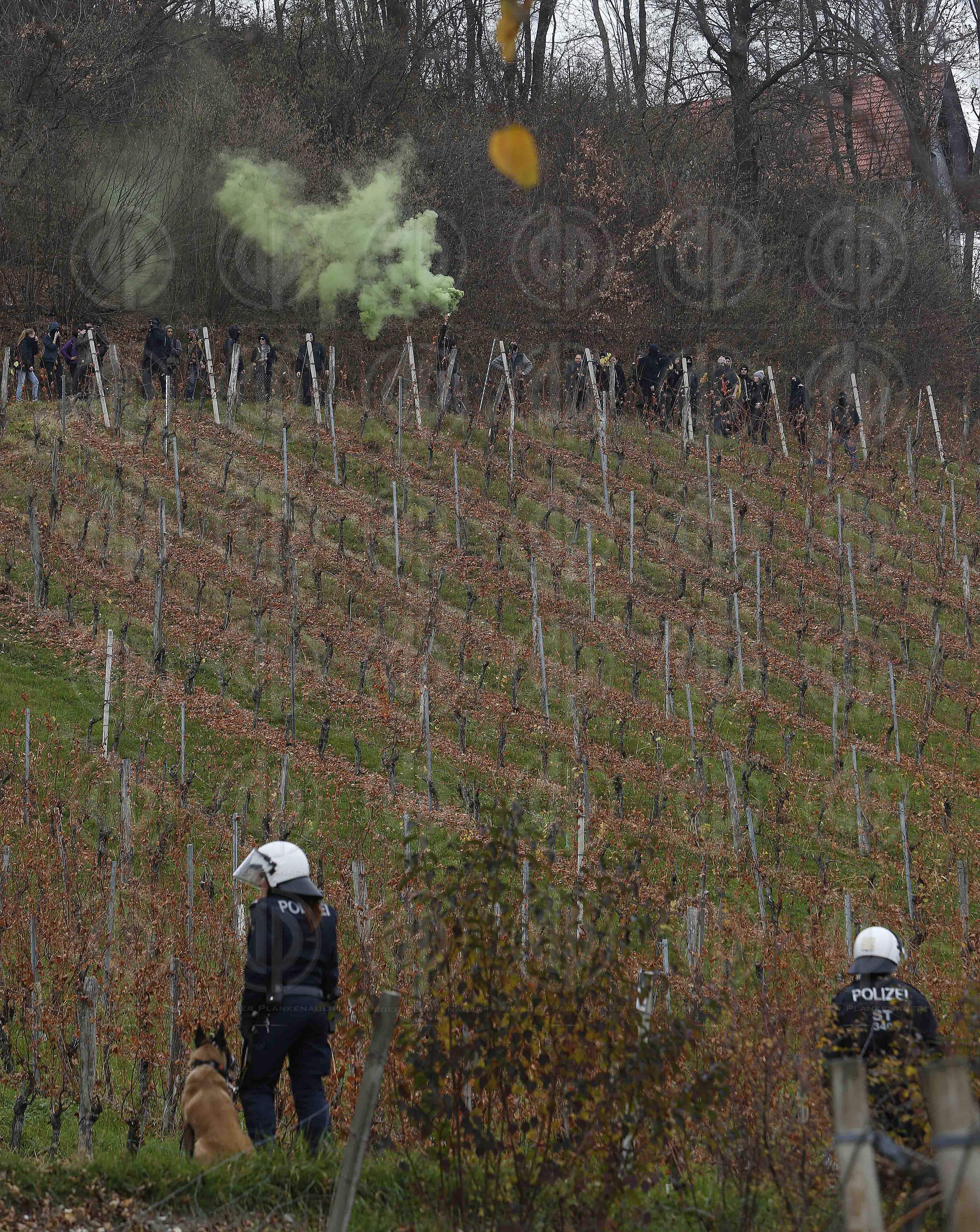 Antifa-Demo und Gegendemo in Spielfeld und Umgebung