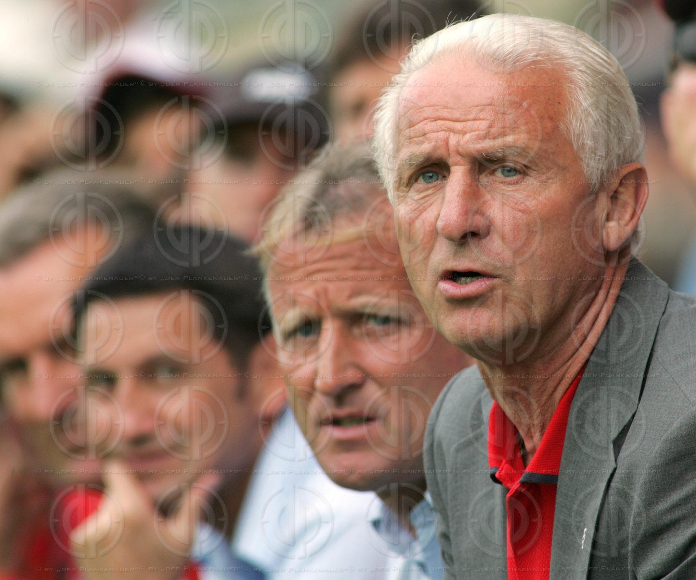 VfB Stuttgart vs. FK Austria Magna