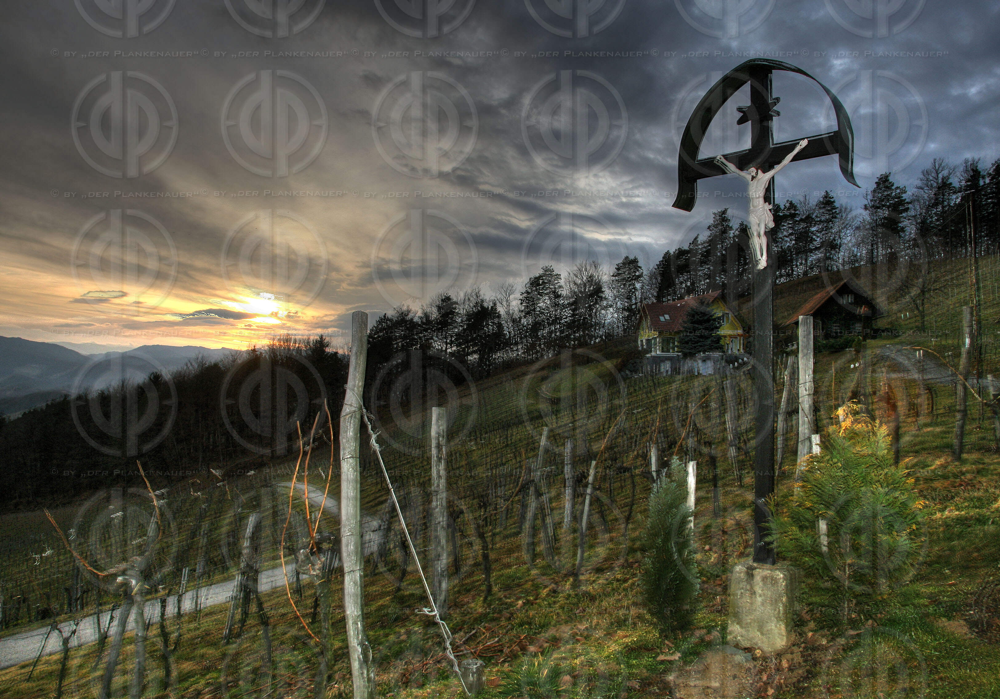 Sonnenuntergang im Weinland