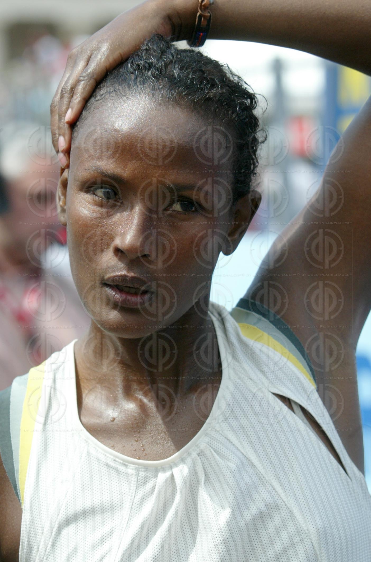 VCM 2005