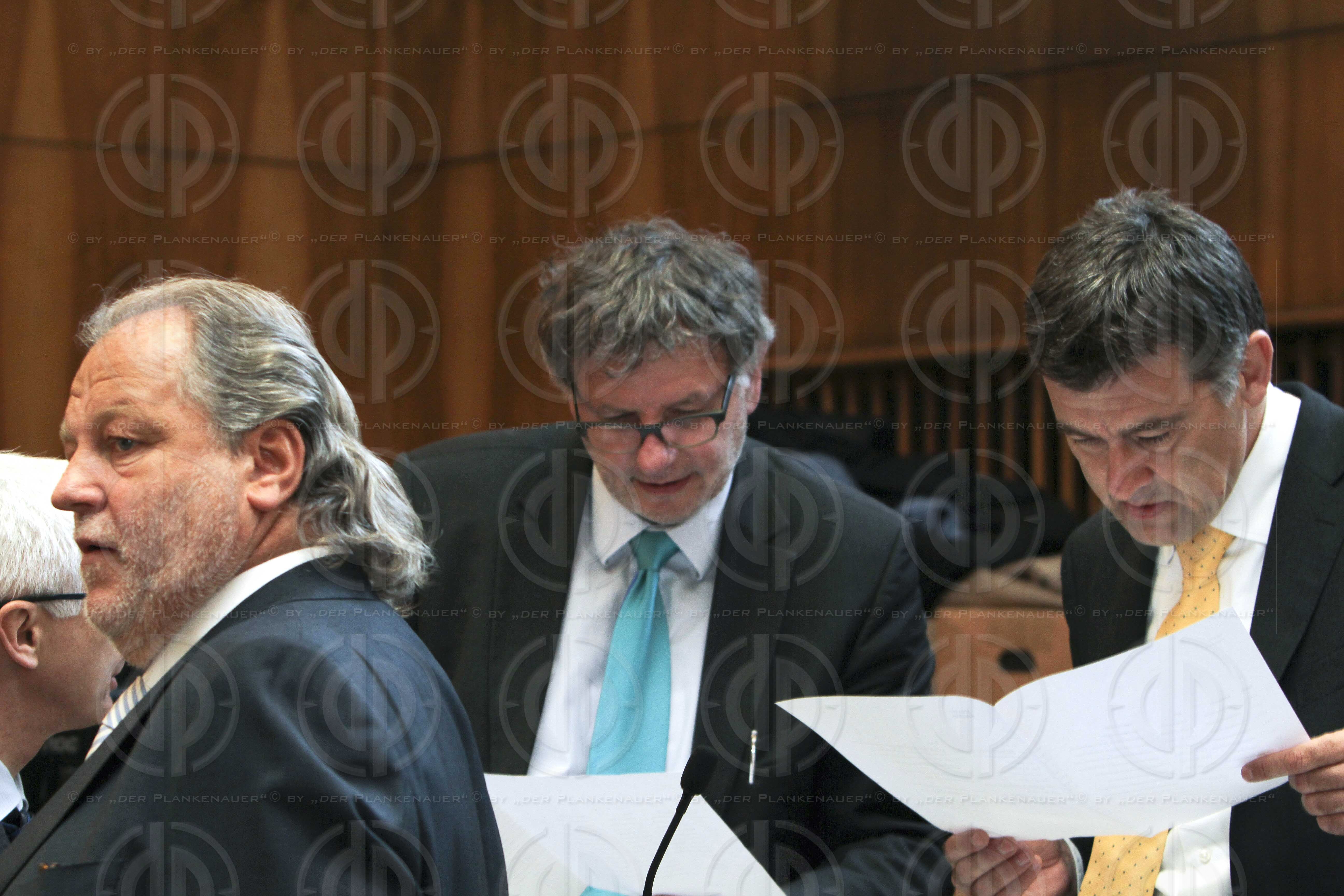 Strafverfahren gegen Hannes KARTNIG u.a.