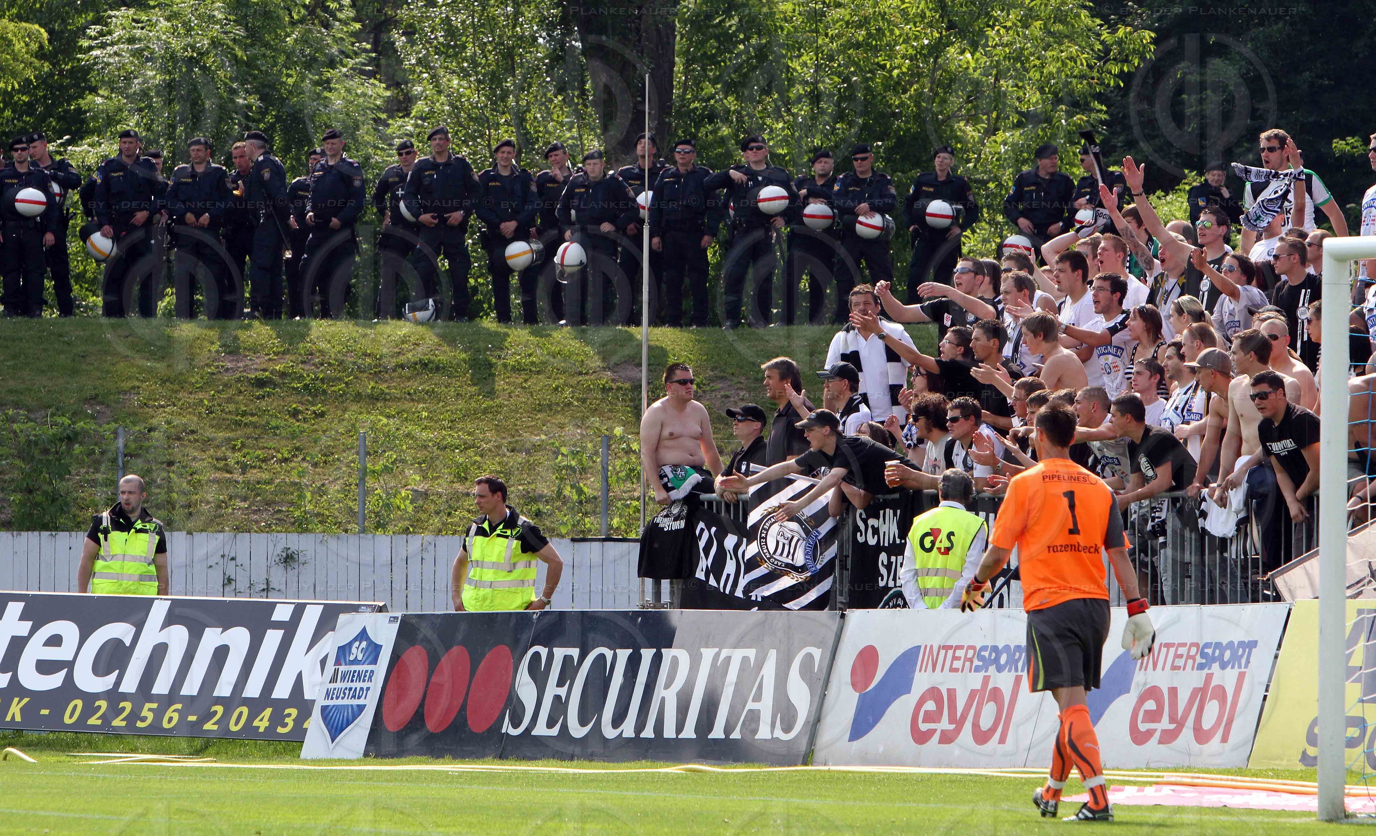 SC Magna Wiener Neustadt vs. SK Sturm Graz