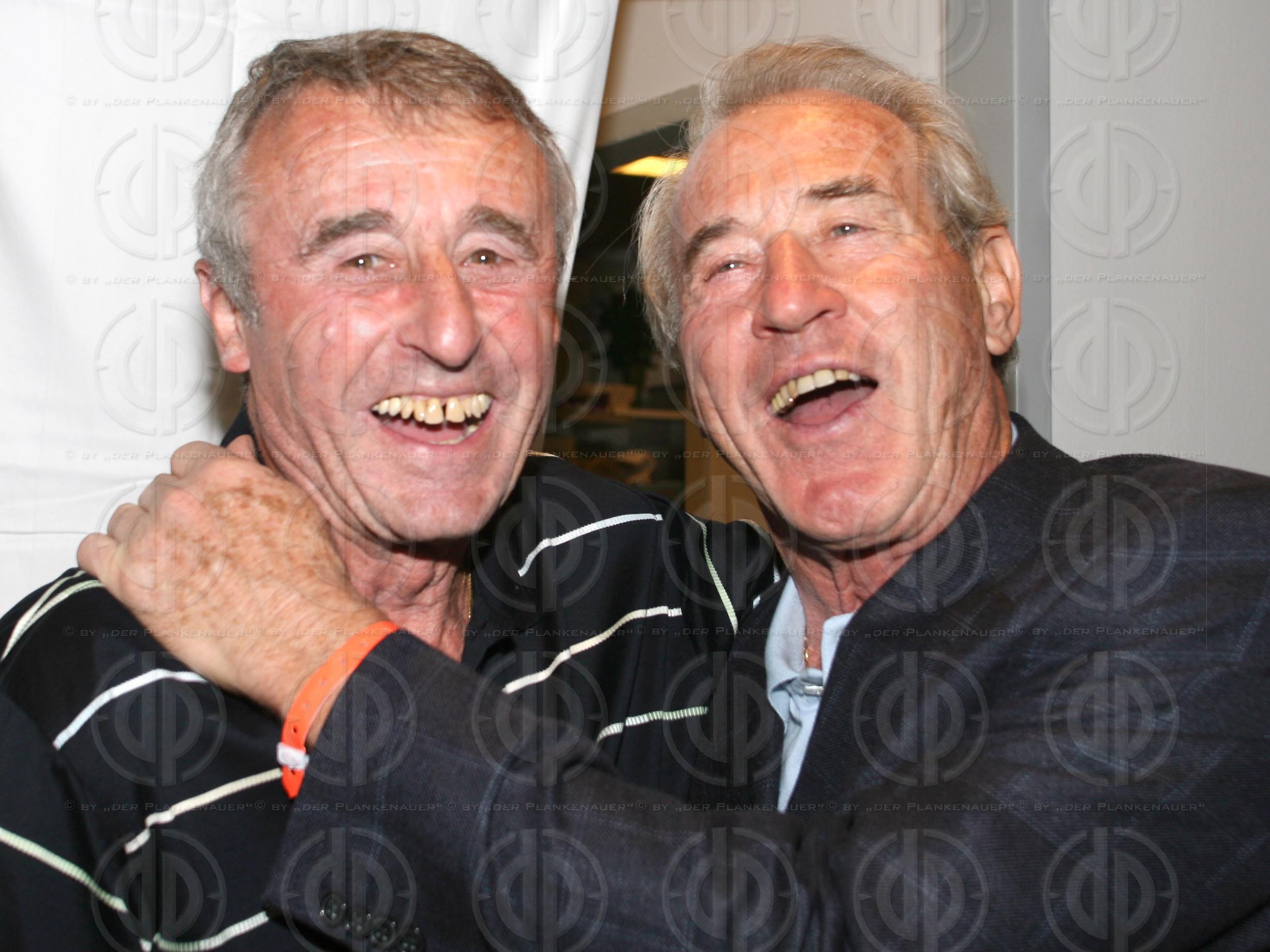 Länderspiel Österreich vs. Ungarn (1:2)