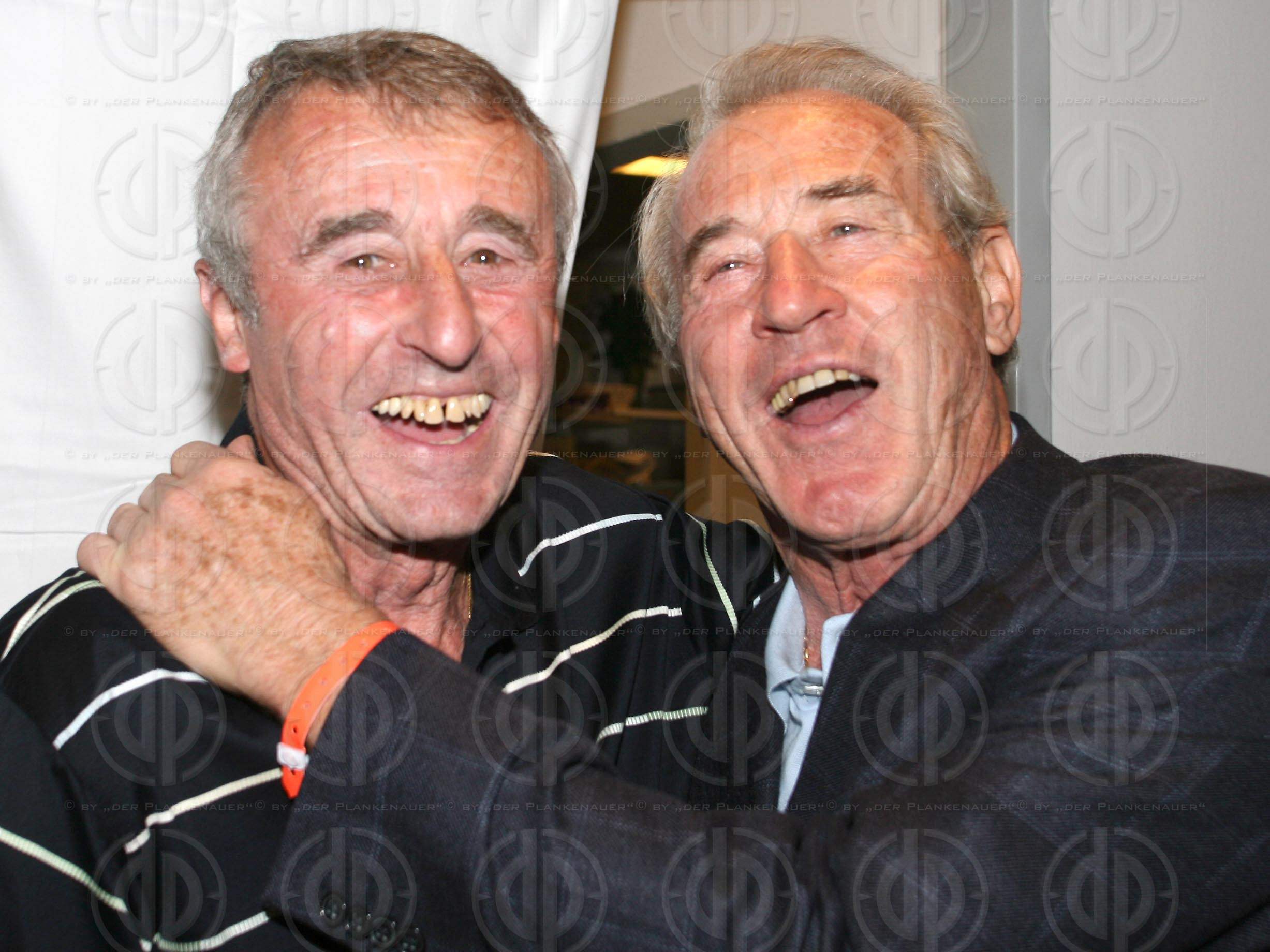 Länderspiel Österreich vs. Ungarn (1:2)