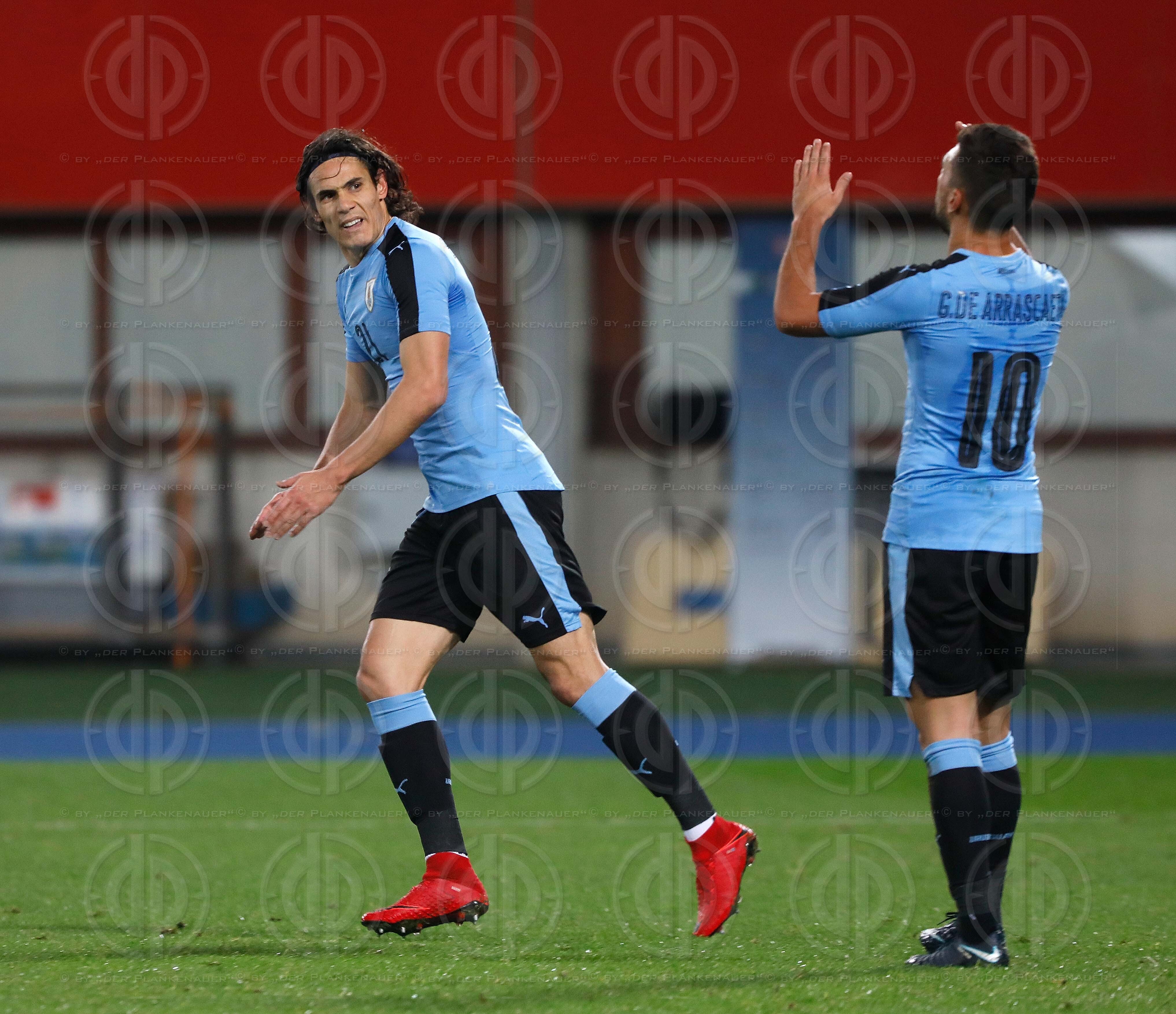 Laenderspiel Oesterreich vs. Uruguay (2:1)