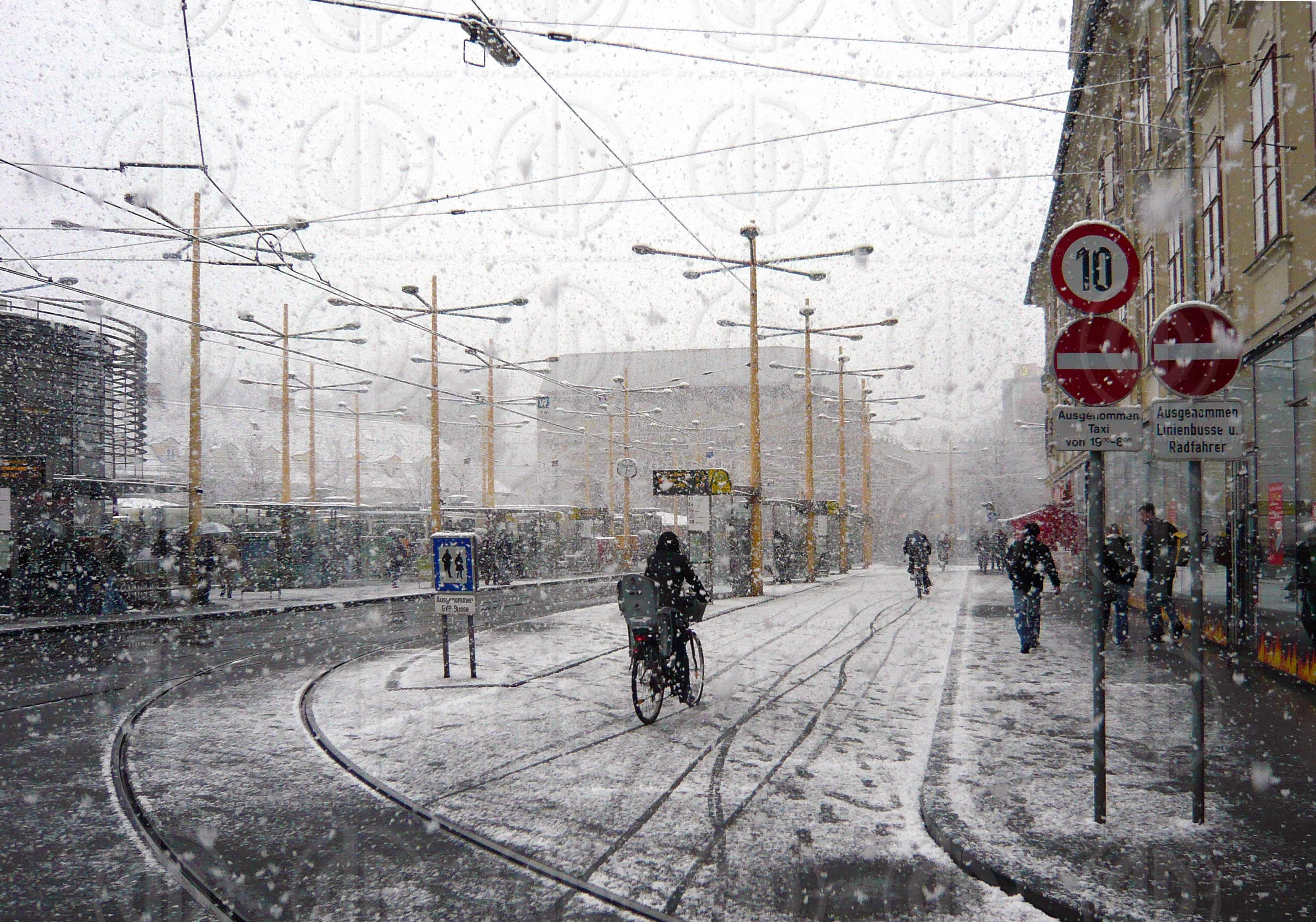 Schnee zum Fruehlingsbeginn