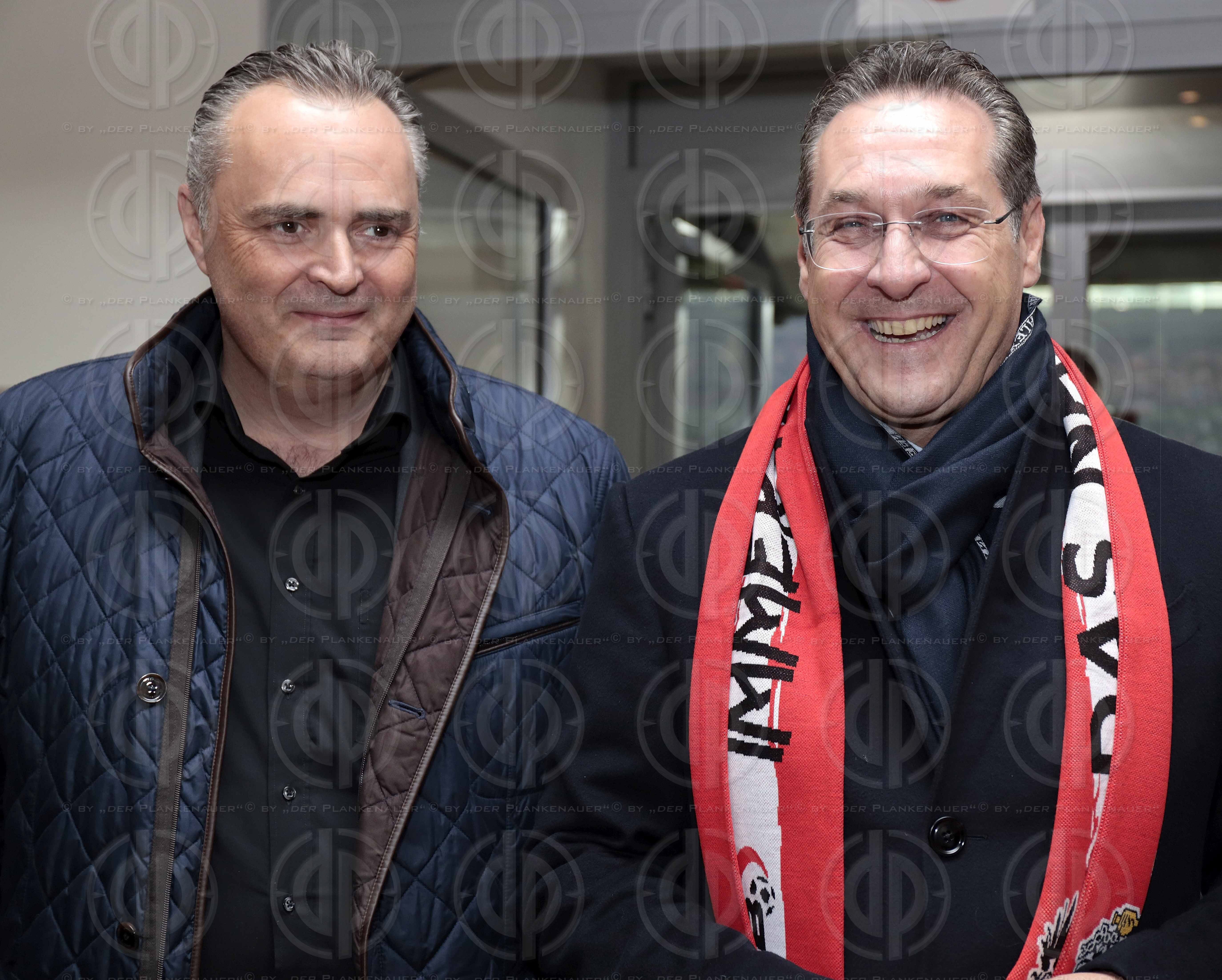 Länderspiel EM-Q. Österreich vs. Polen (0:1)