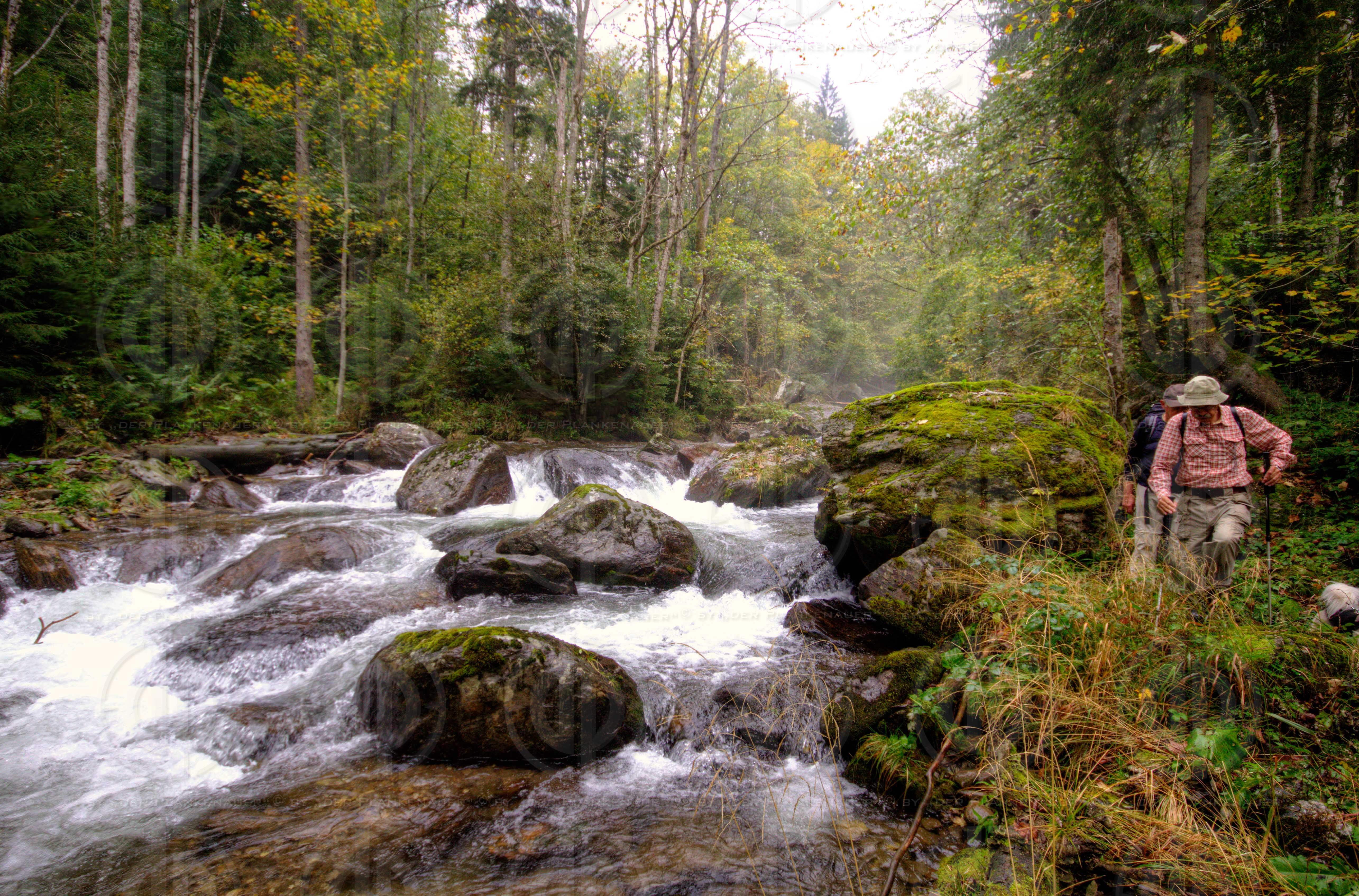 Steirisches Naturdenkmal schwarze Sulm
