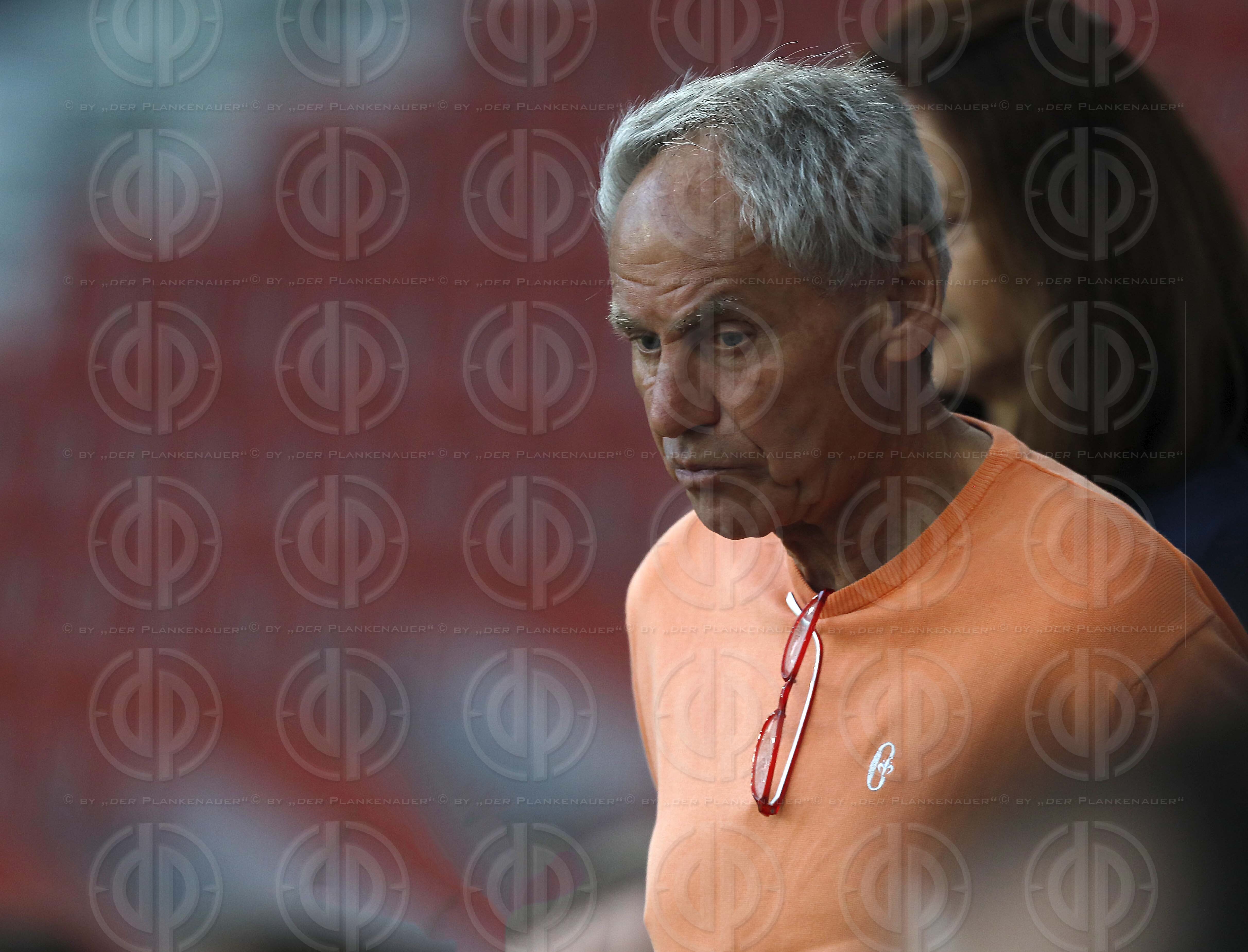 Länderspiel EM-Q. Österreich vs. Slowenien (1:0)