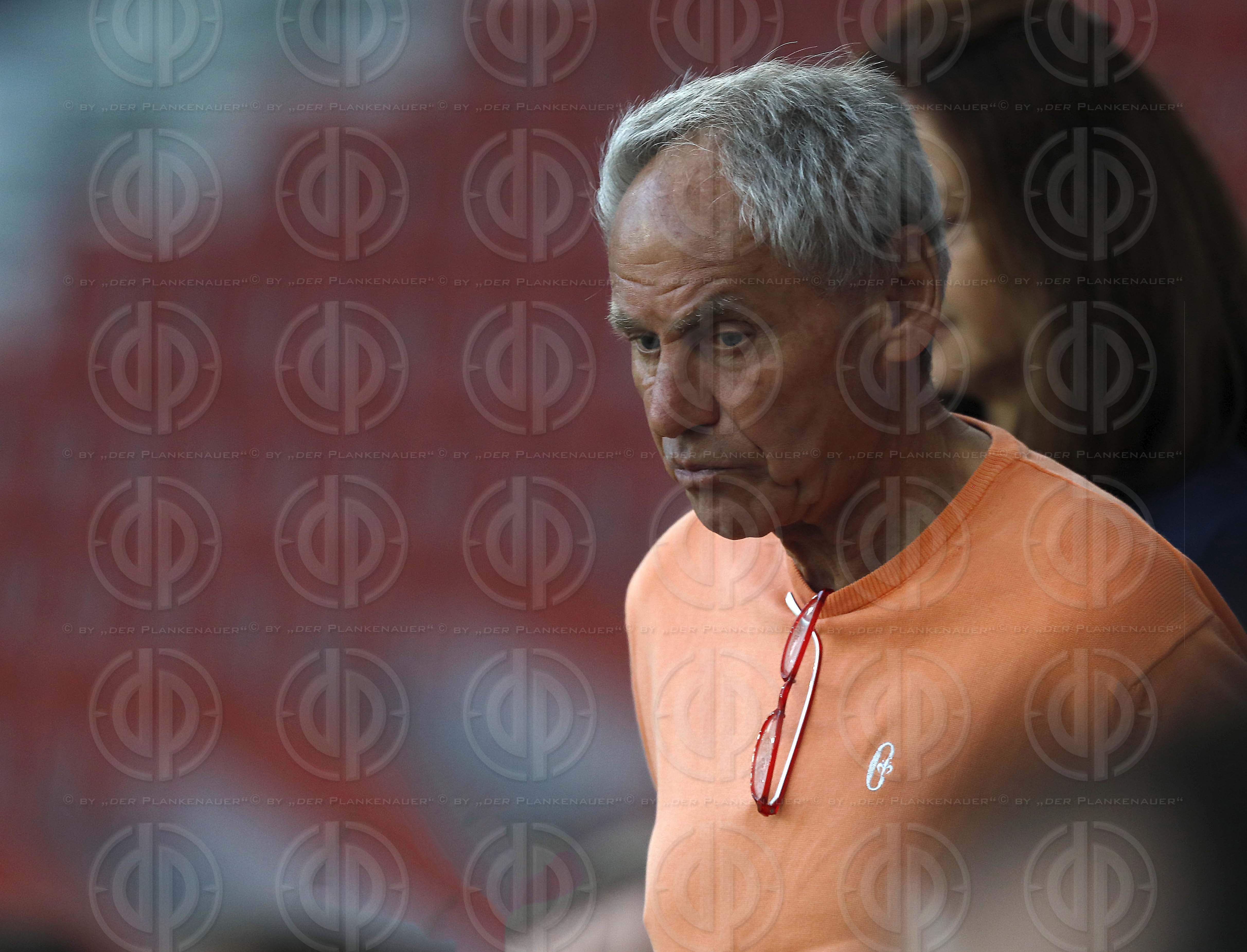 Länderspiel EM-Q. Österreich vs. Slowenien (1:0)