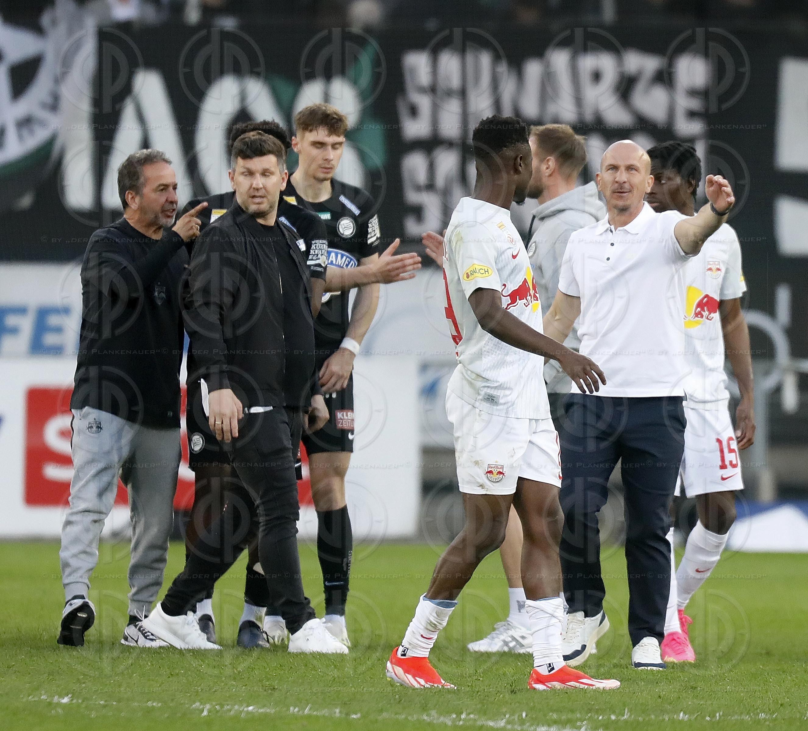 SK Sturm vs. FC RB Salzburg (0:1) am 31.03.2024