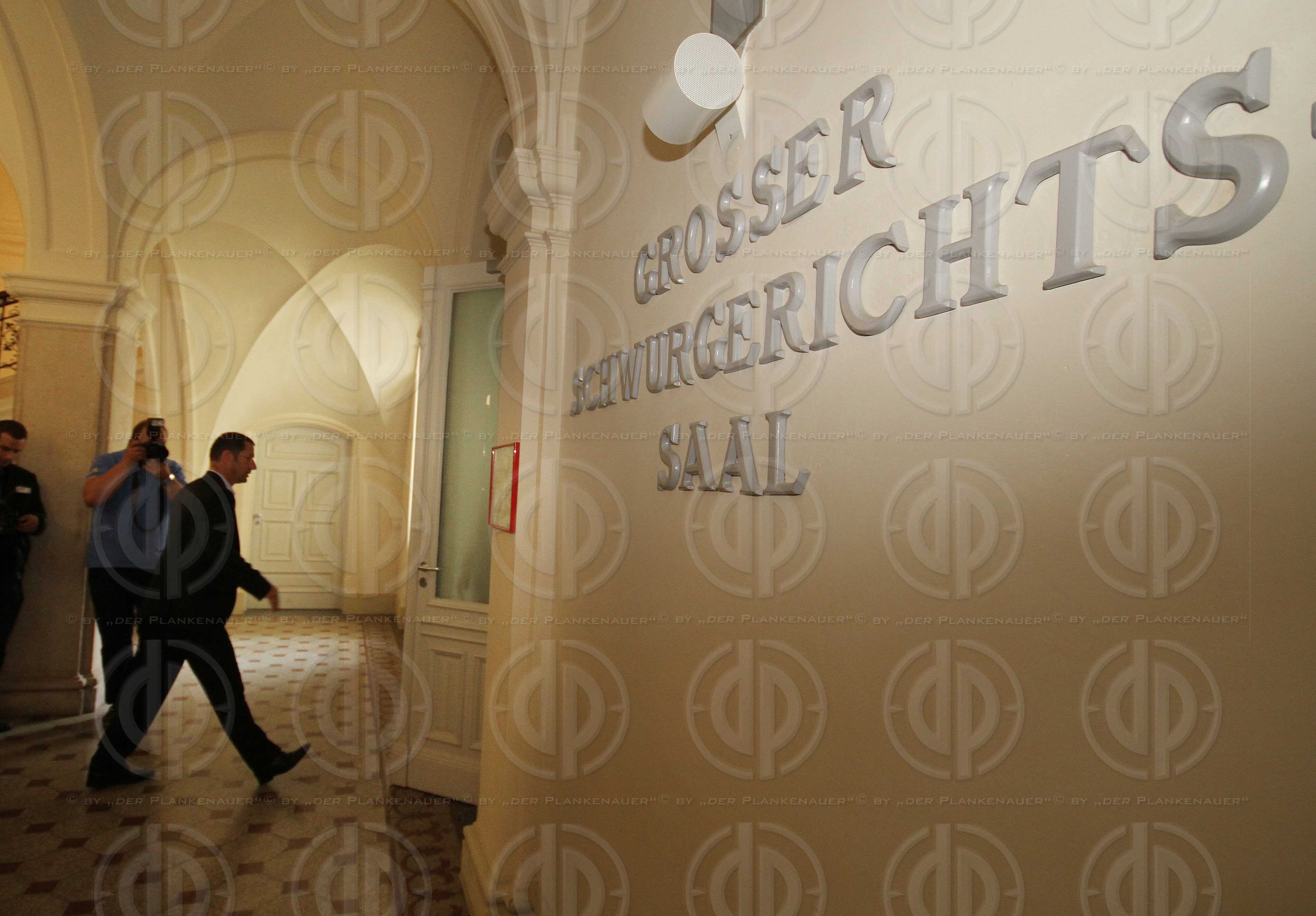 Strafverfahren gegen Hannes KARTNIG u.a.