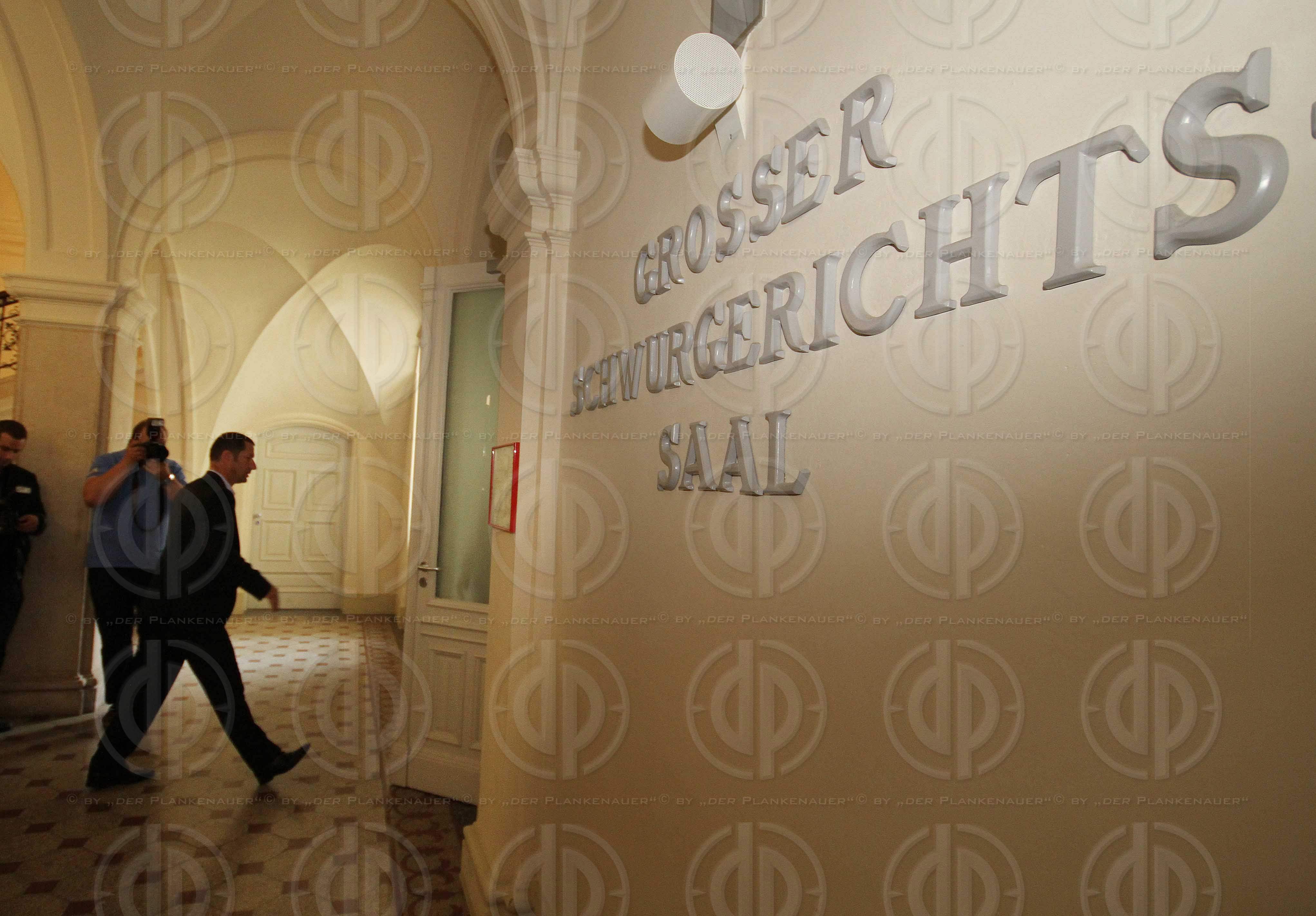 Strafverfahren gegen Hannes KARTNIG u.a.