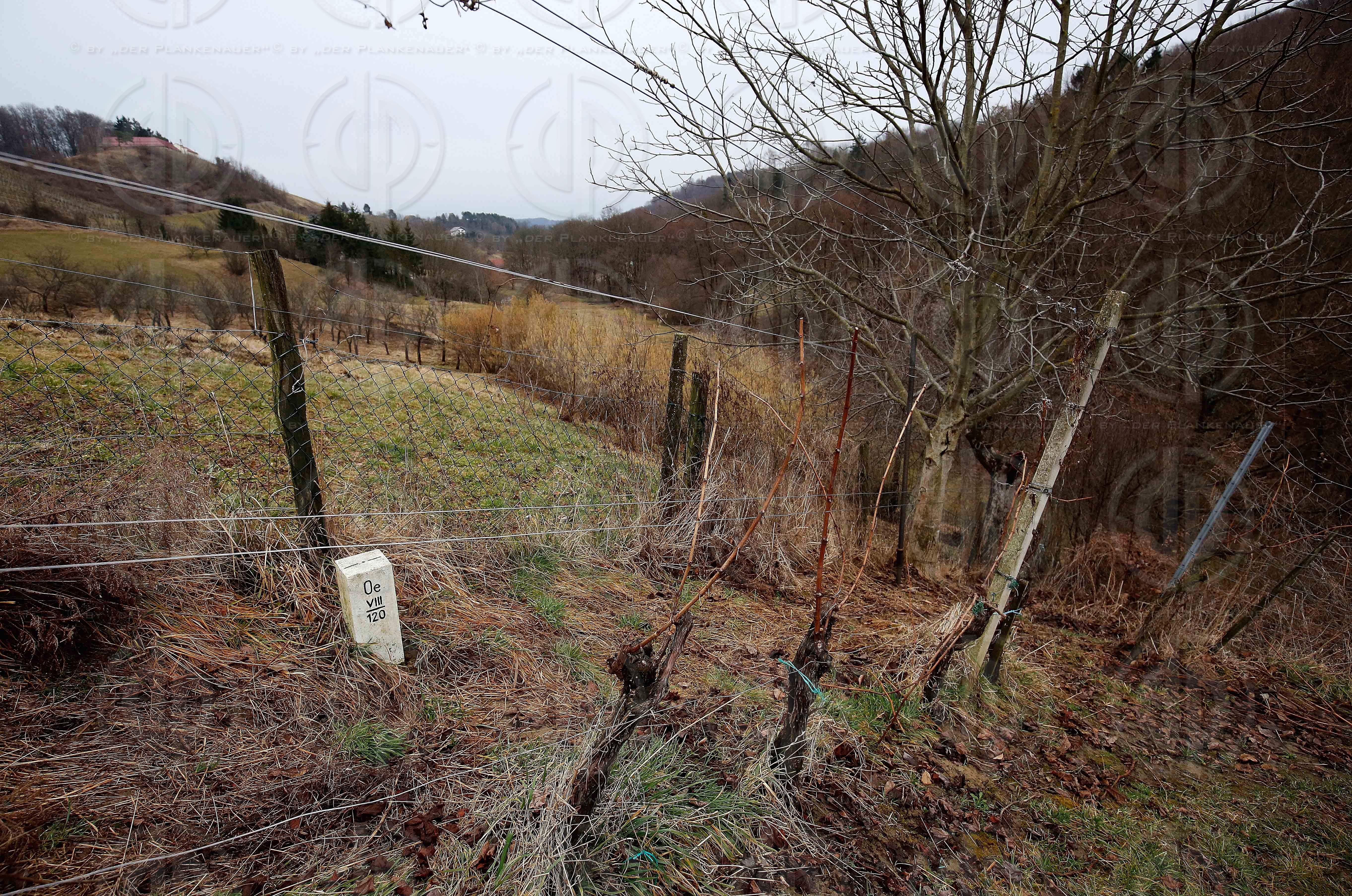 Zaun an der Suedgrenze zu Slowenien