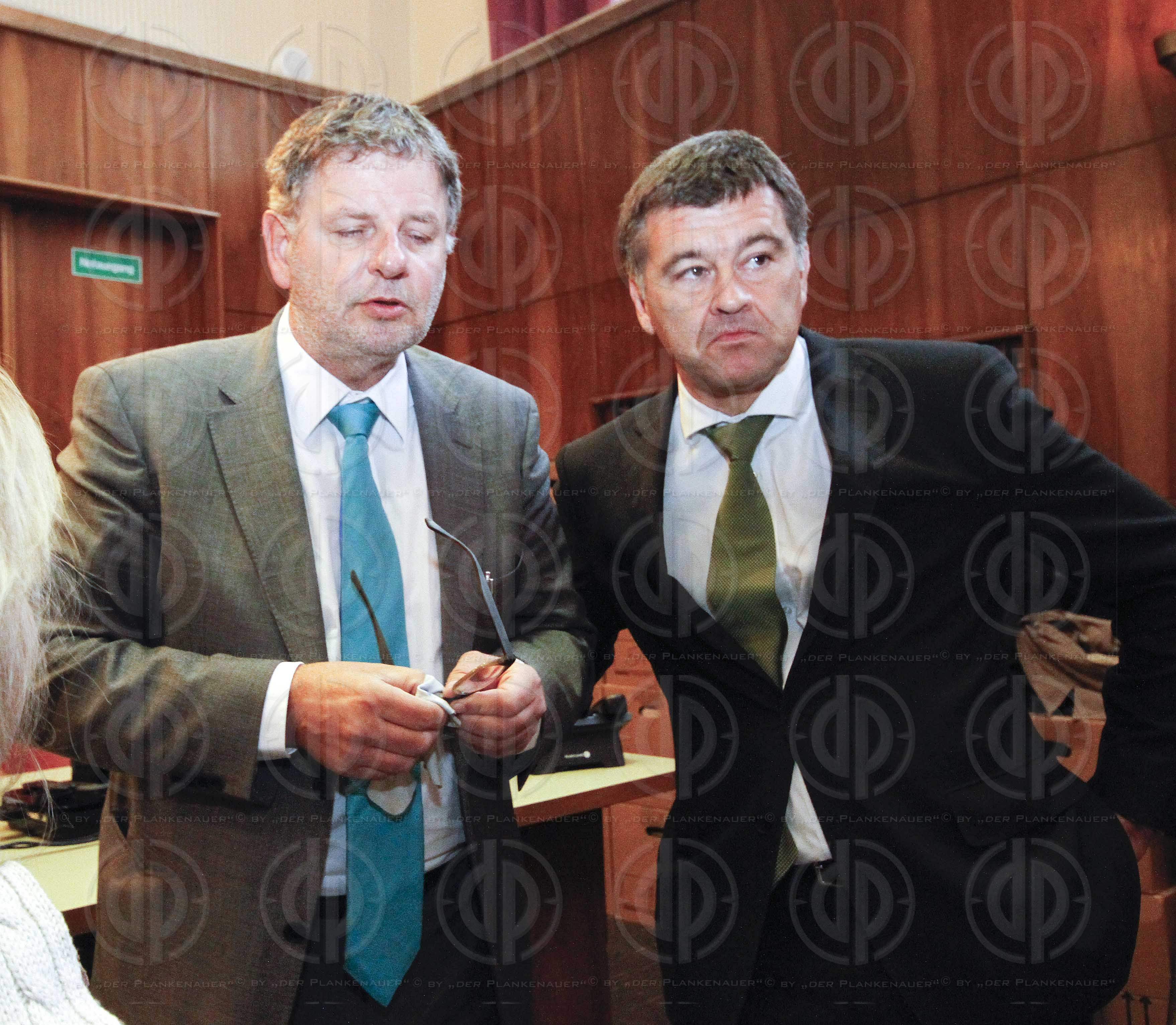 Strafverfahren gegen Hannes KARTNIG u.a.