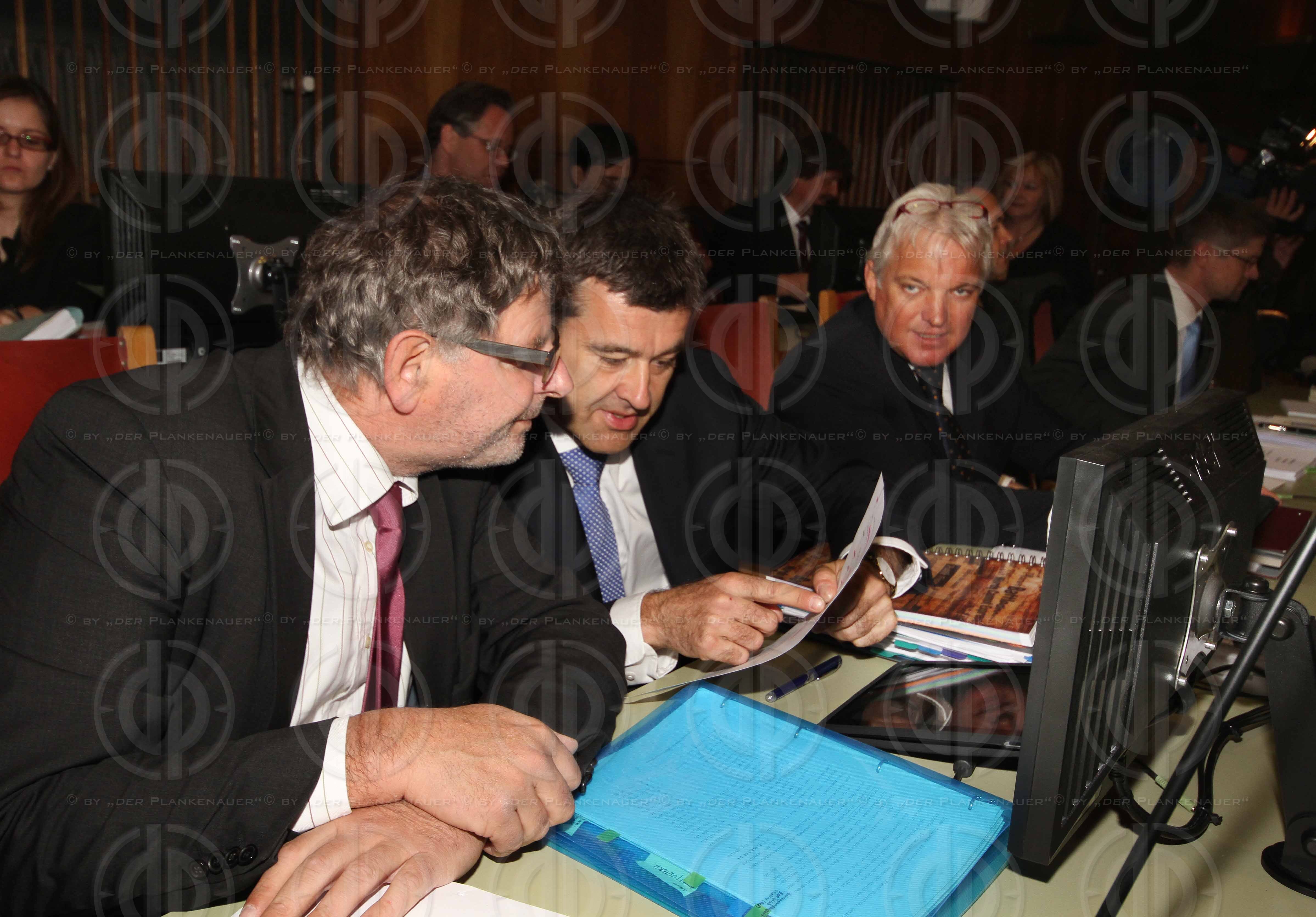 Strafverfahren gegen Hannes KARTNIG u.a.