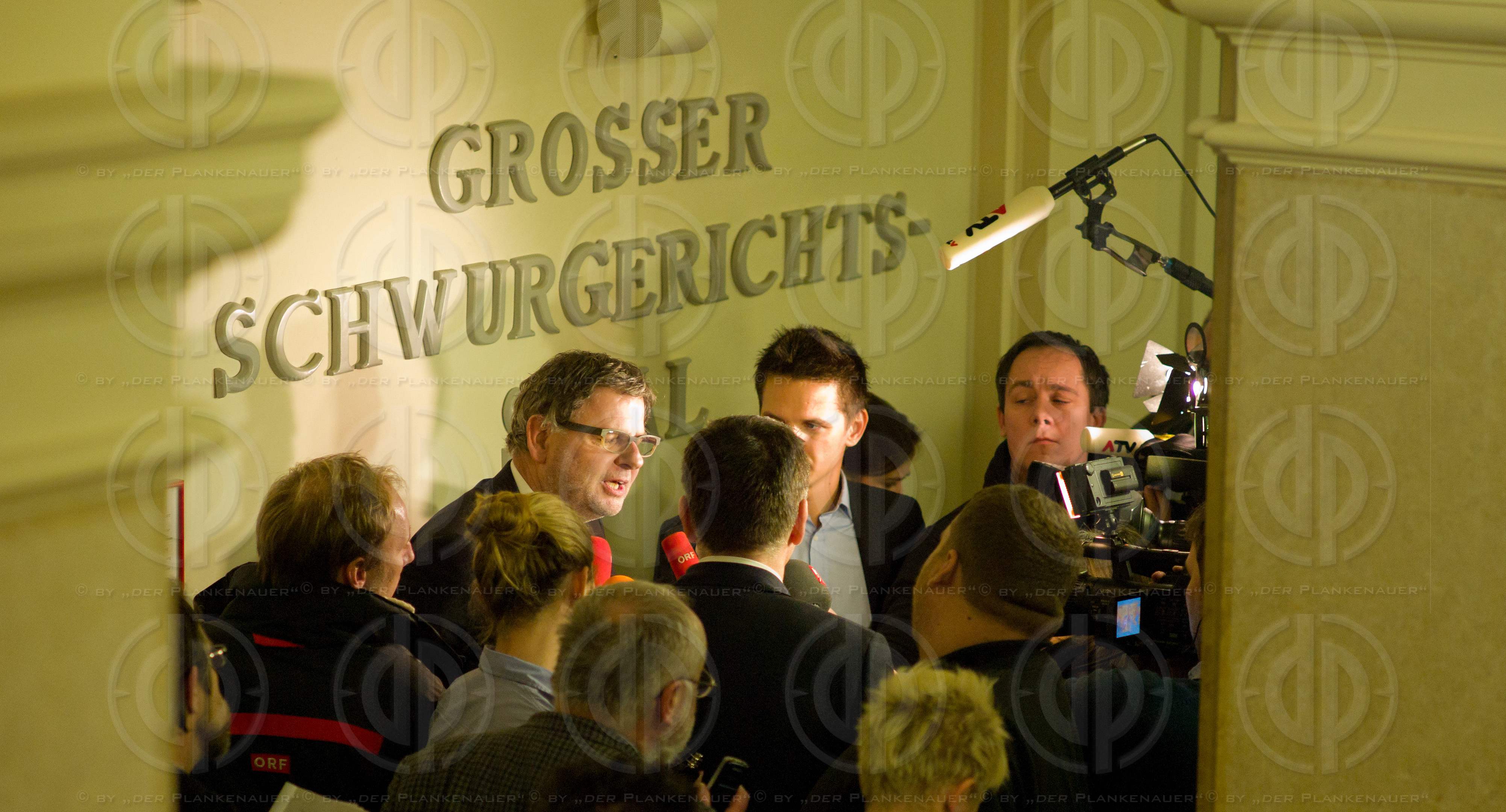 Strafverfahren gegen Hannes KARTNIG u.a.