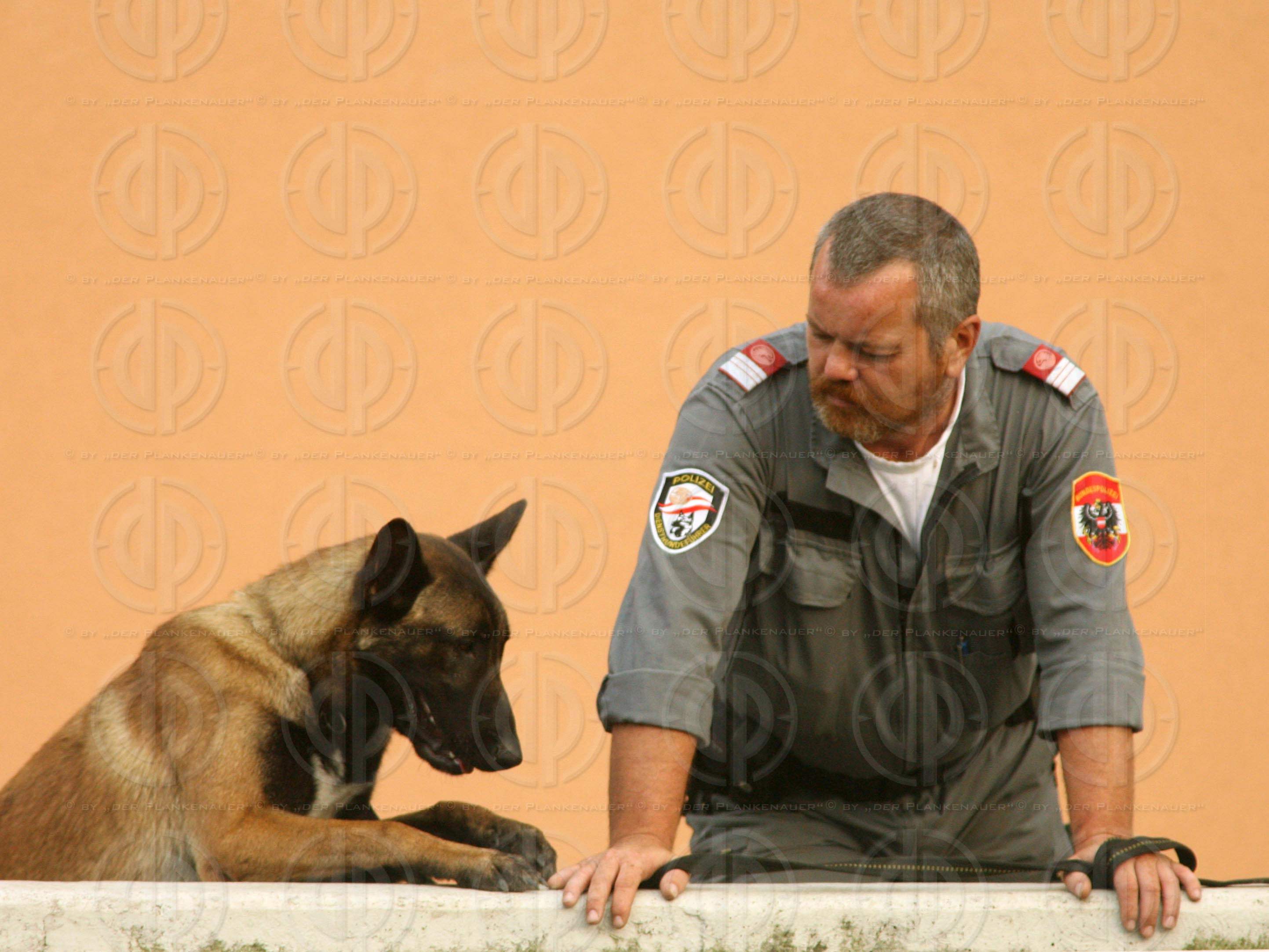 Herr und Hund beim Fussball