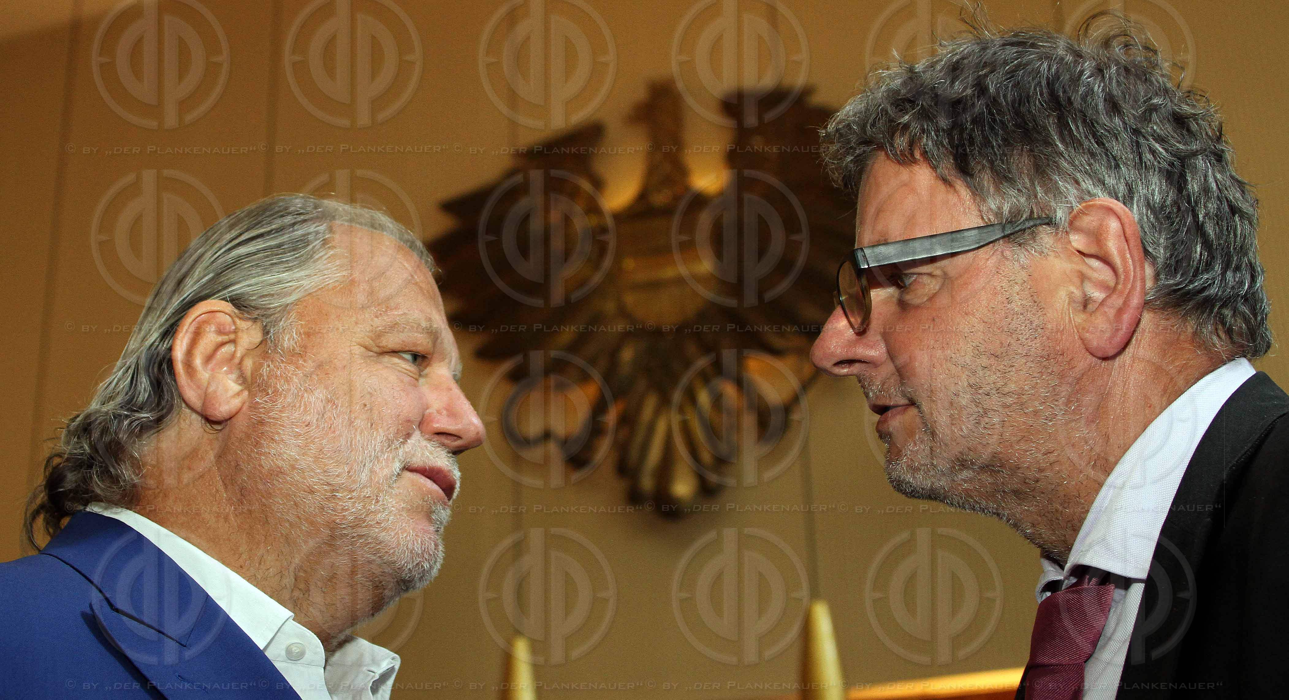 Strafverfahren gegen Hannes KARTNIG u.a.