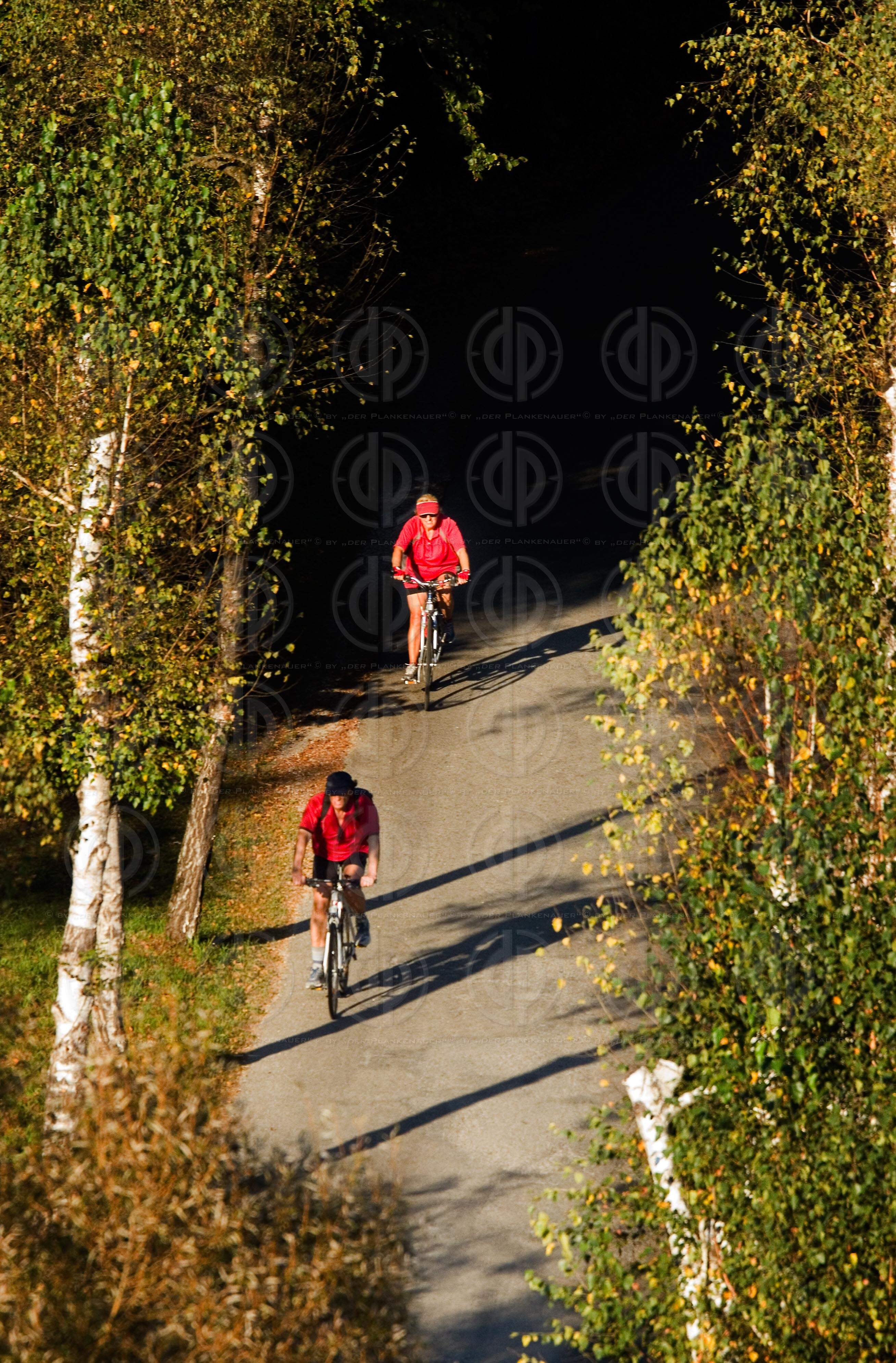 Radfahren im Herbst