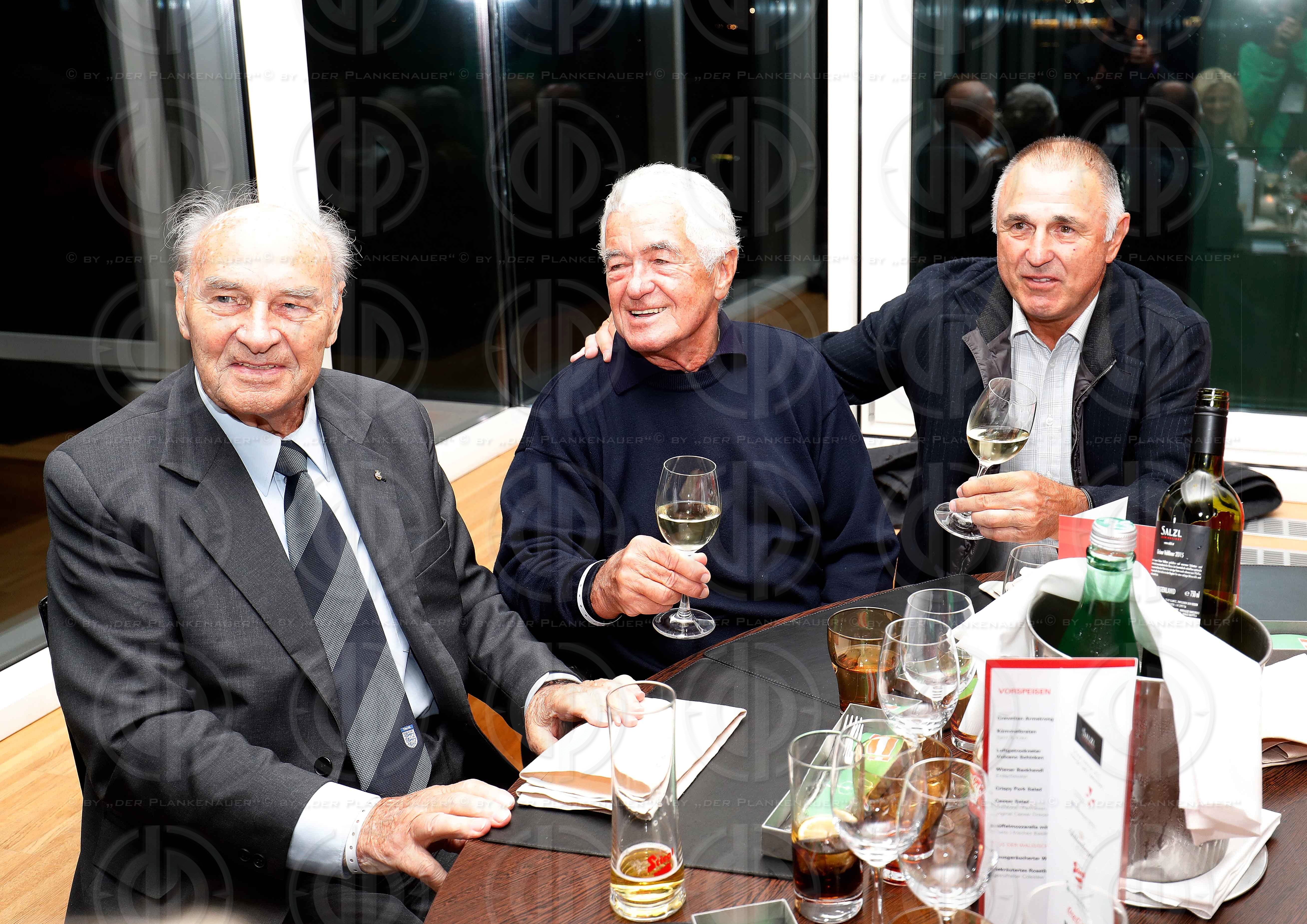 WM-Qualifikation Oesterreich vs. Wales (2:2)