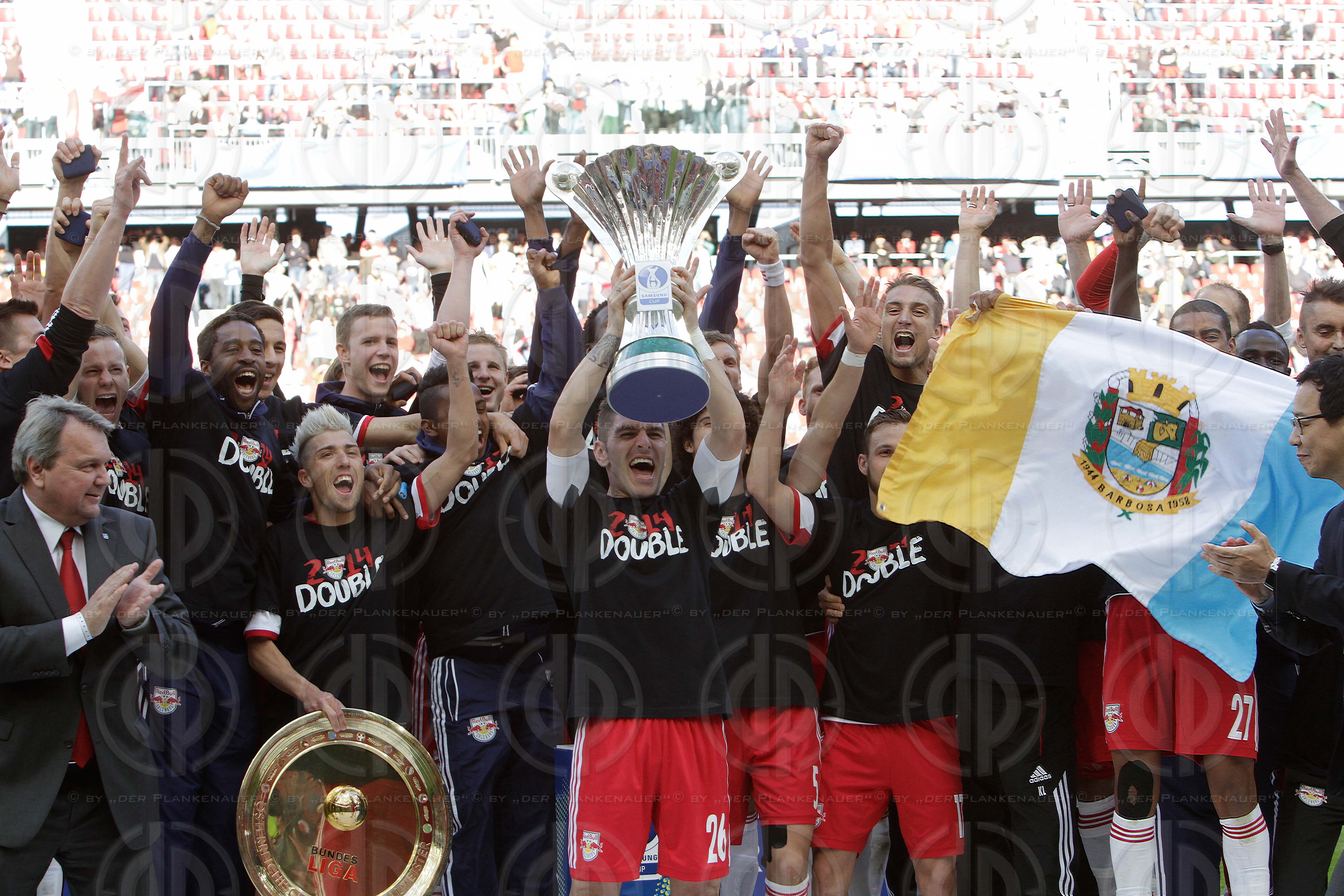 OEFB Samsung Cup Finale 2014