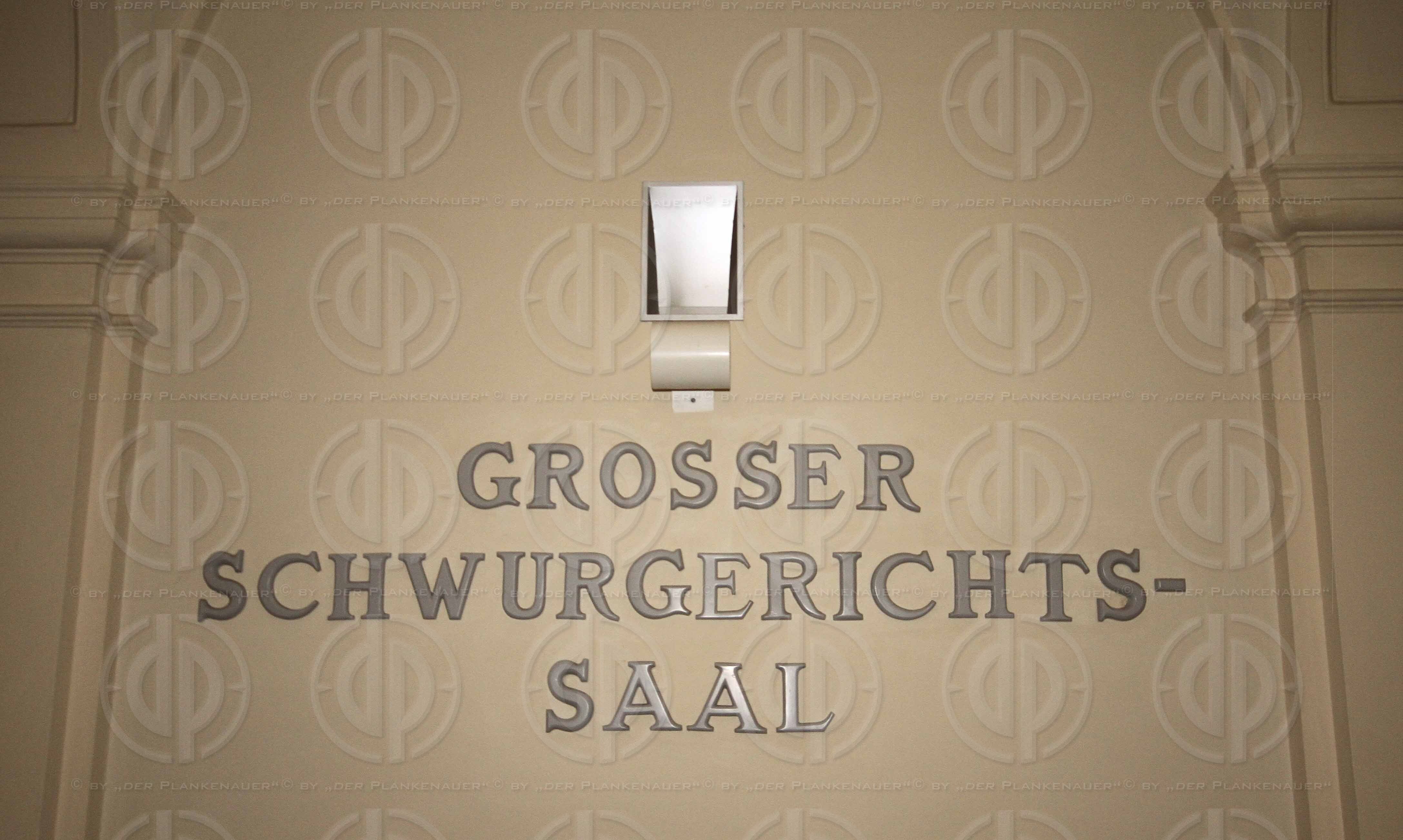 Strafverfahren gegen Hannes KARTNIG u.a.