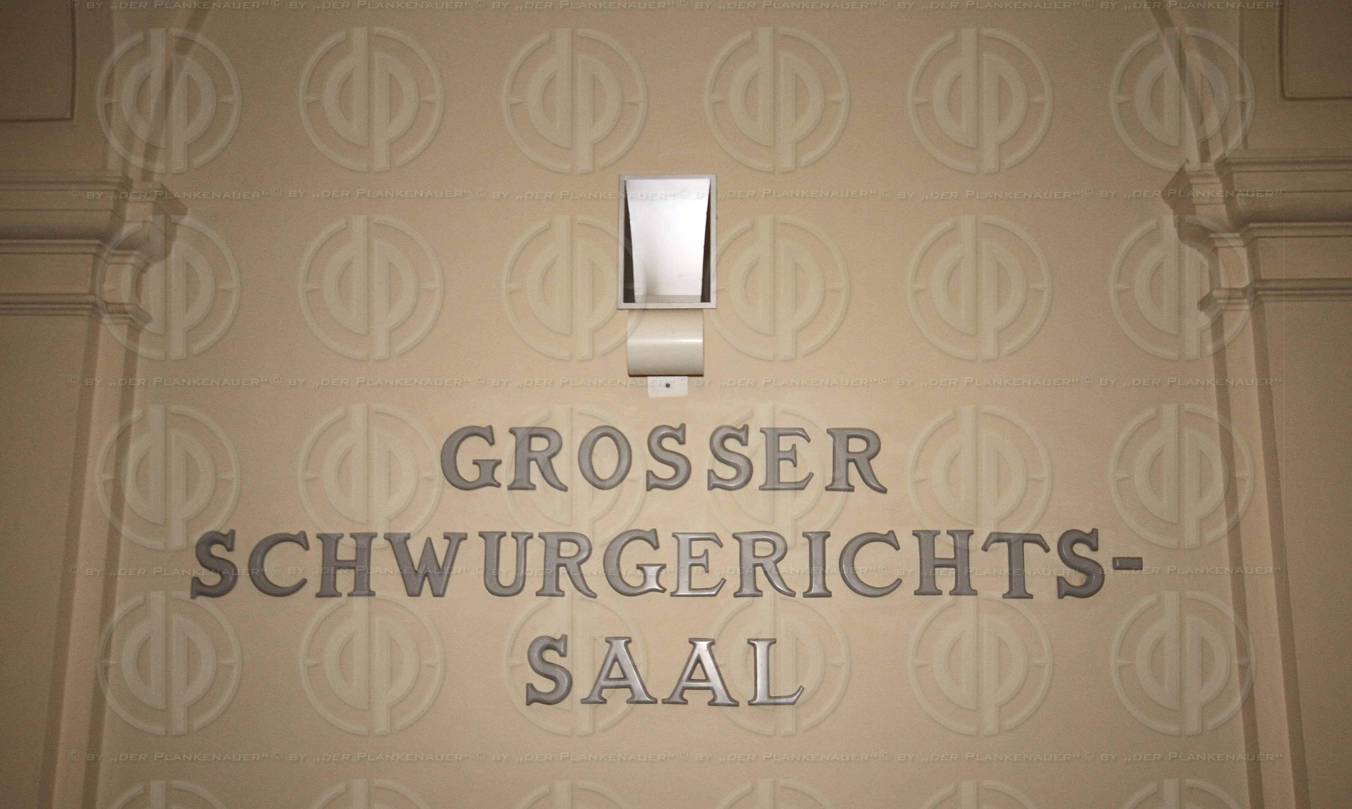 Strafverfahren gegen Hannes KARTNIG u.a.