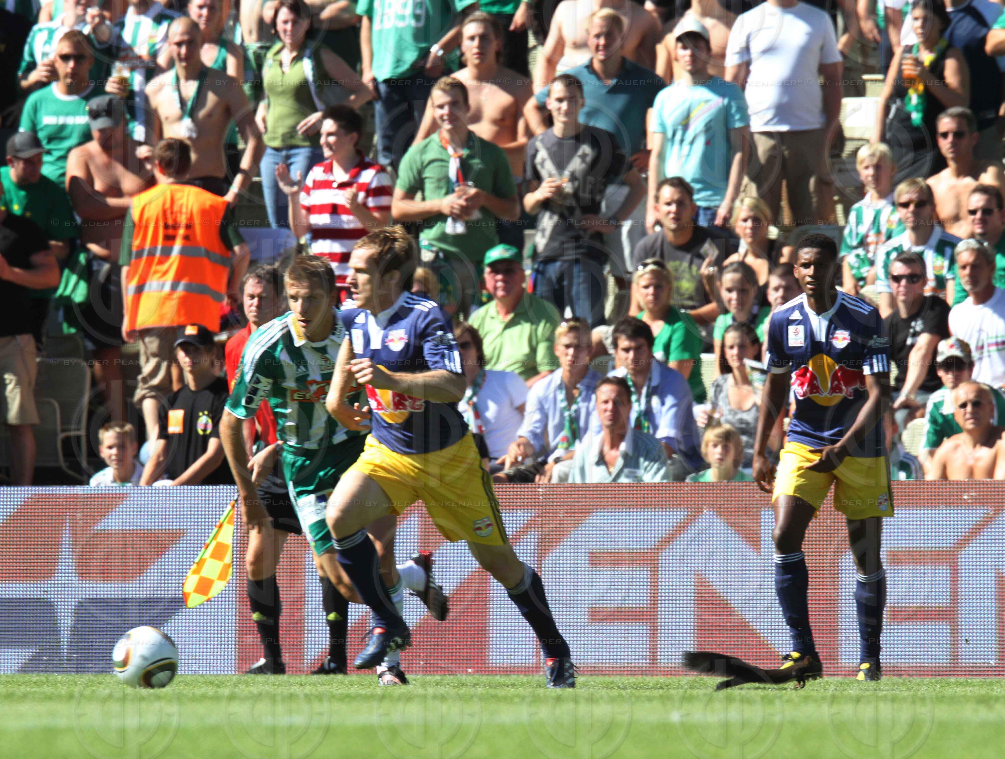 SK Rapid Wien vs. Red Bulls Salzburg