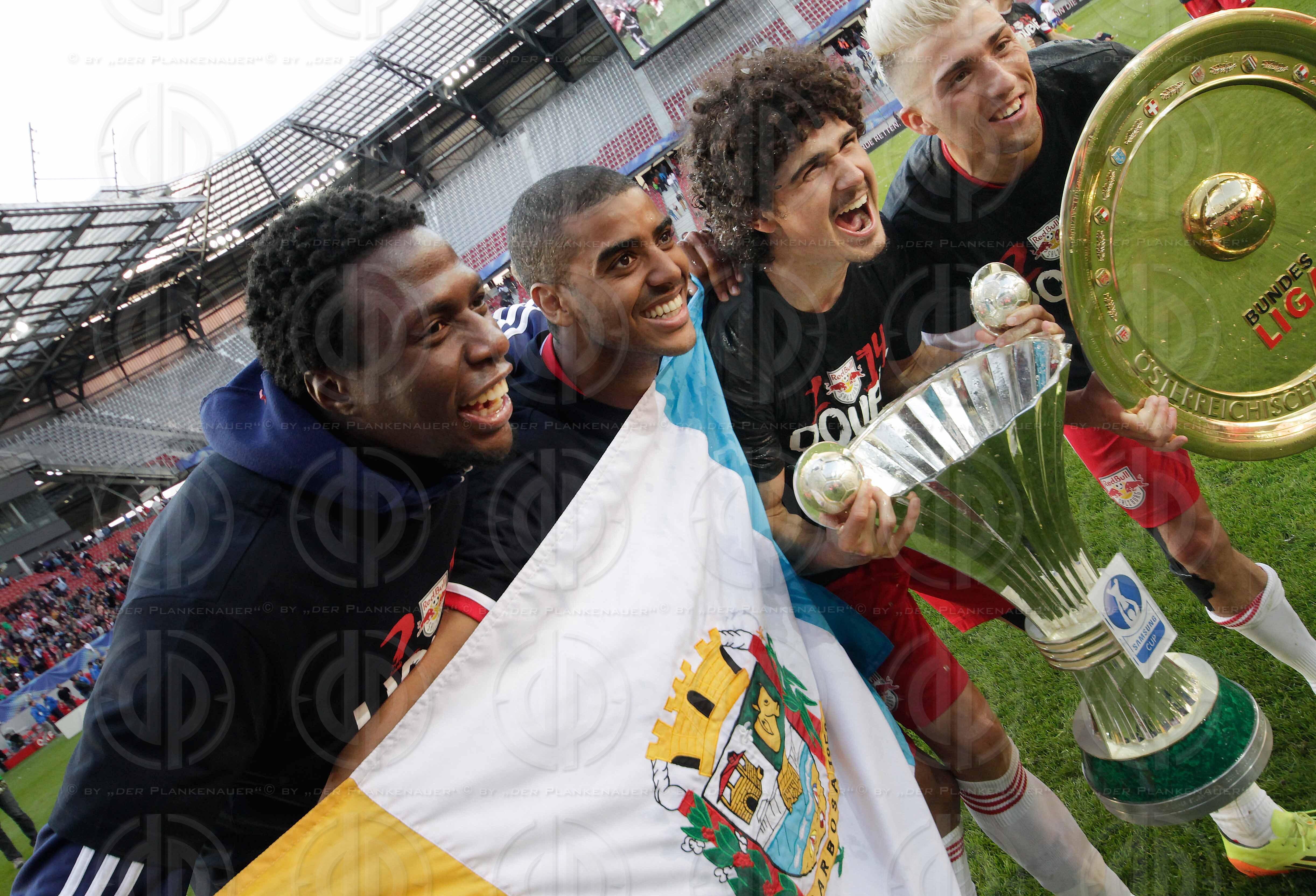 OEFB Samsung Cup Finale 2014